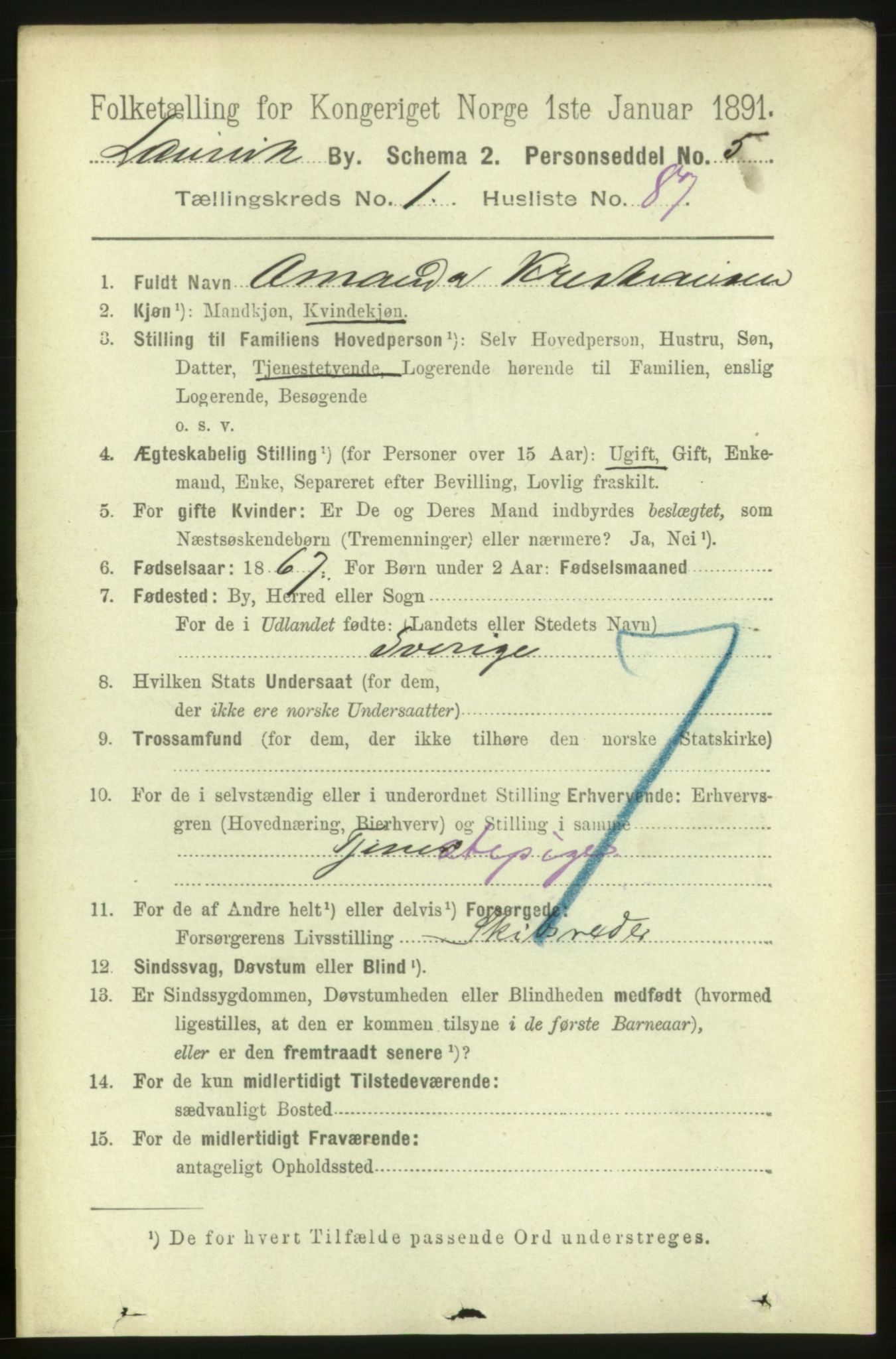 RA, 1891 census for 0707 Larvik, 1891, p. 3326