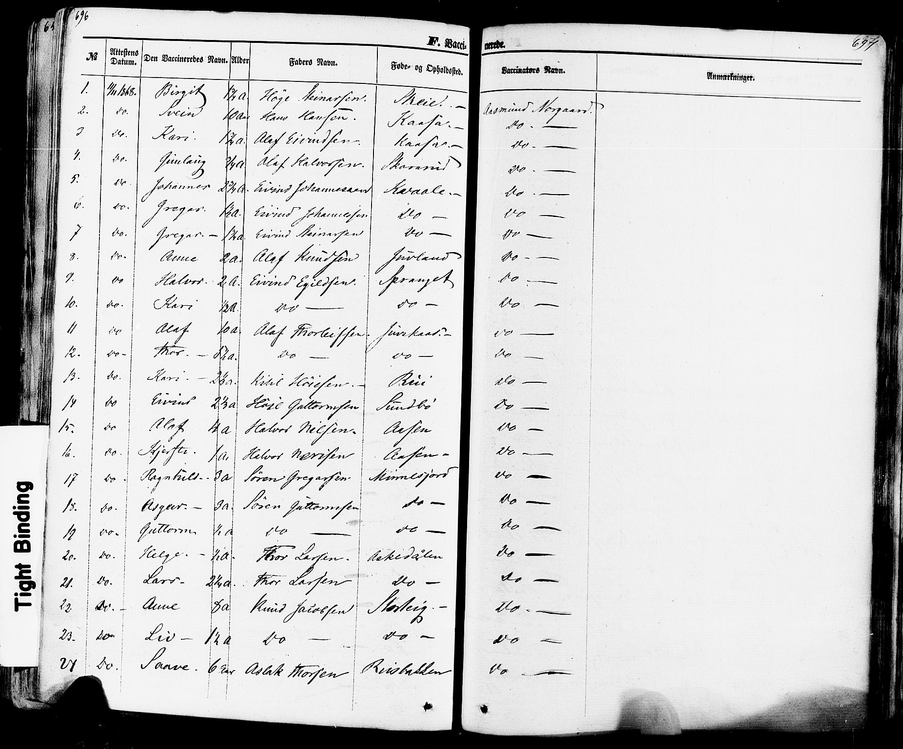 Seljord kirkebøker, SAKO/A-20/F/Fa/L0013: Parish register (official) no. I 13, 1866-1876, p. 696-697