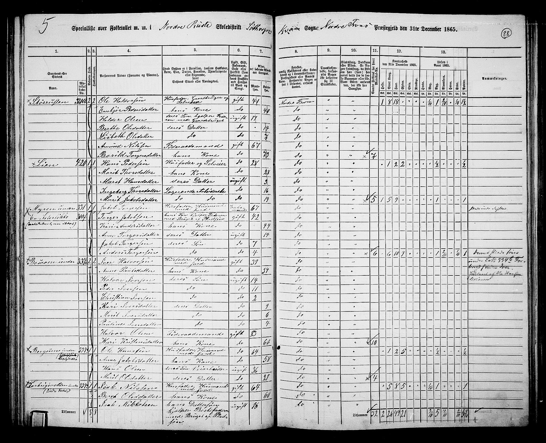 RA, 1865 census for Nord-Fron, 1865, p. 85