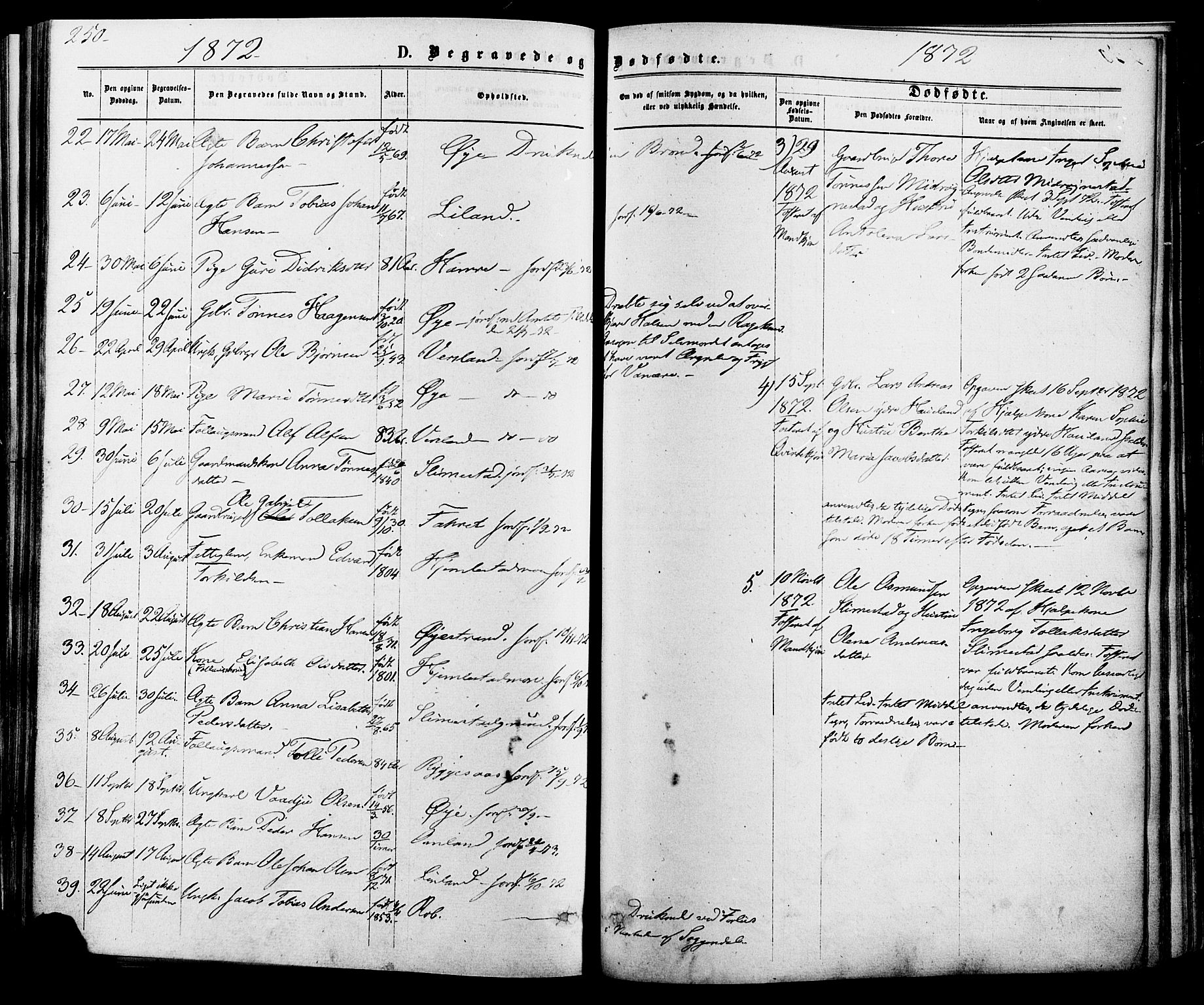Kvinesdal sokneprestkontor, SAK/1111-0026/F/Fa/Fab/L0007: Parish register (official) no. A 7, 1870-1885, p. 250