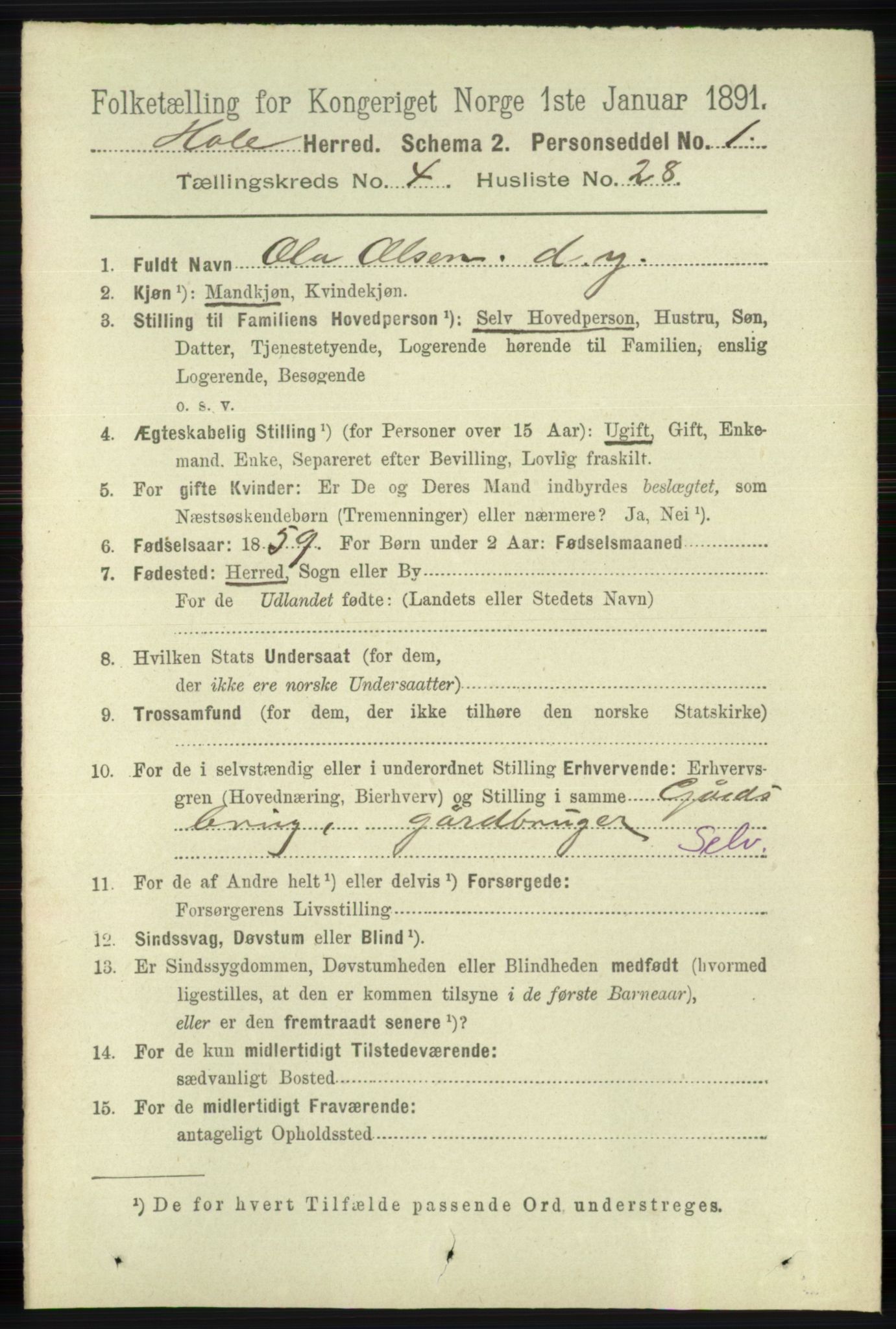 RA, 1891 census for 1128 Høle, 1891, p. 1006