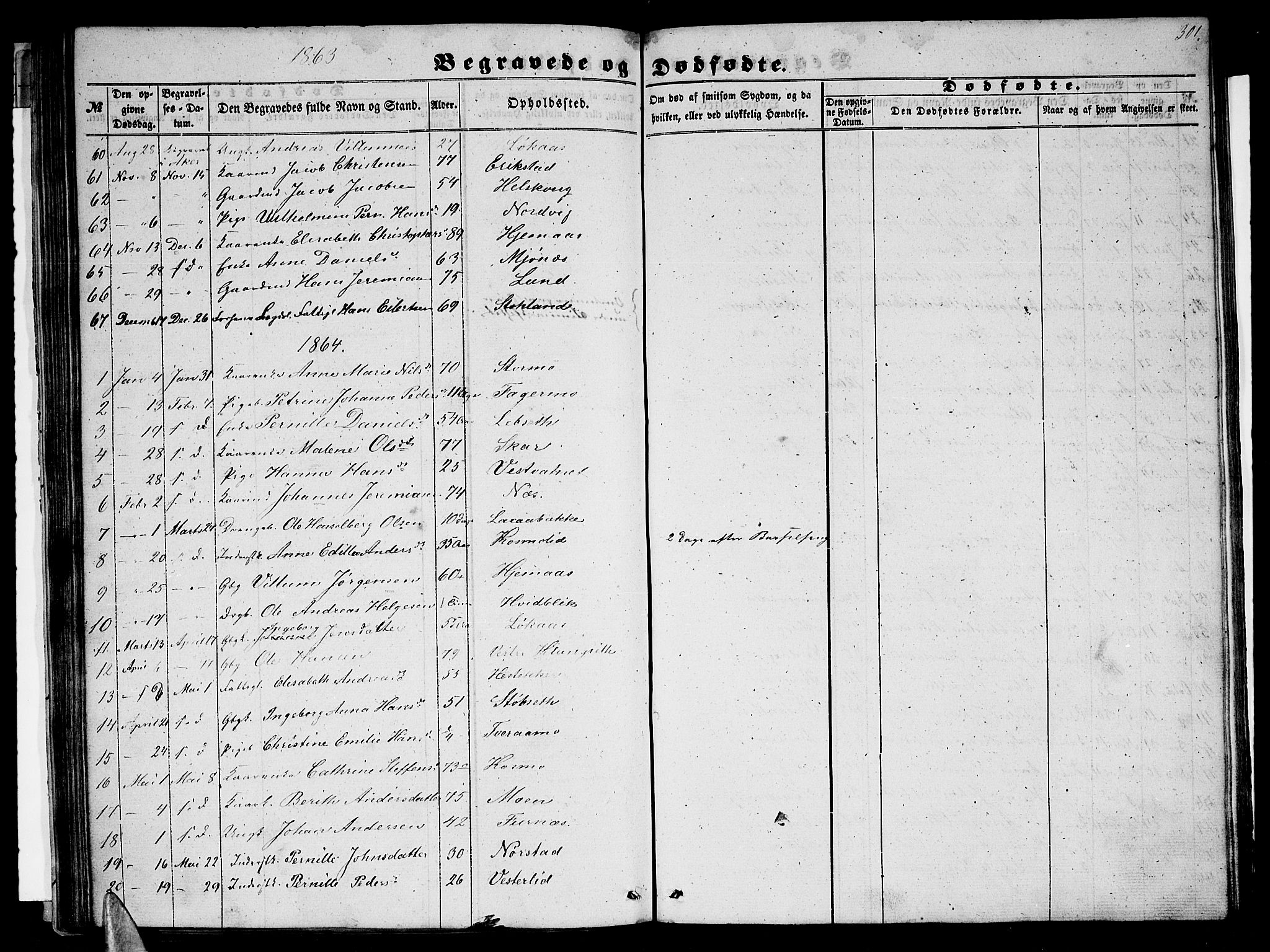 Ministerialprotokoller, klokkerbøker og fødselsregistre - Nordland, AV/SAT-A-1459/852/L0753: Parish register (copy) no. 852C04, 1856-1877, p. 301