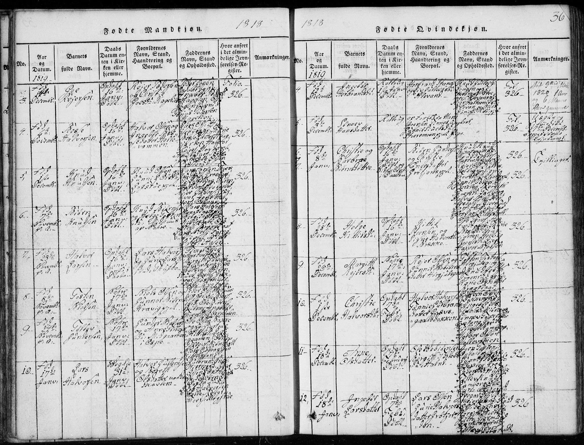Rollag kirkebøker, SAKO/A-240/G/Ga/L0001: Parish register (copy) no. I 1, 1814-1831, p. 36