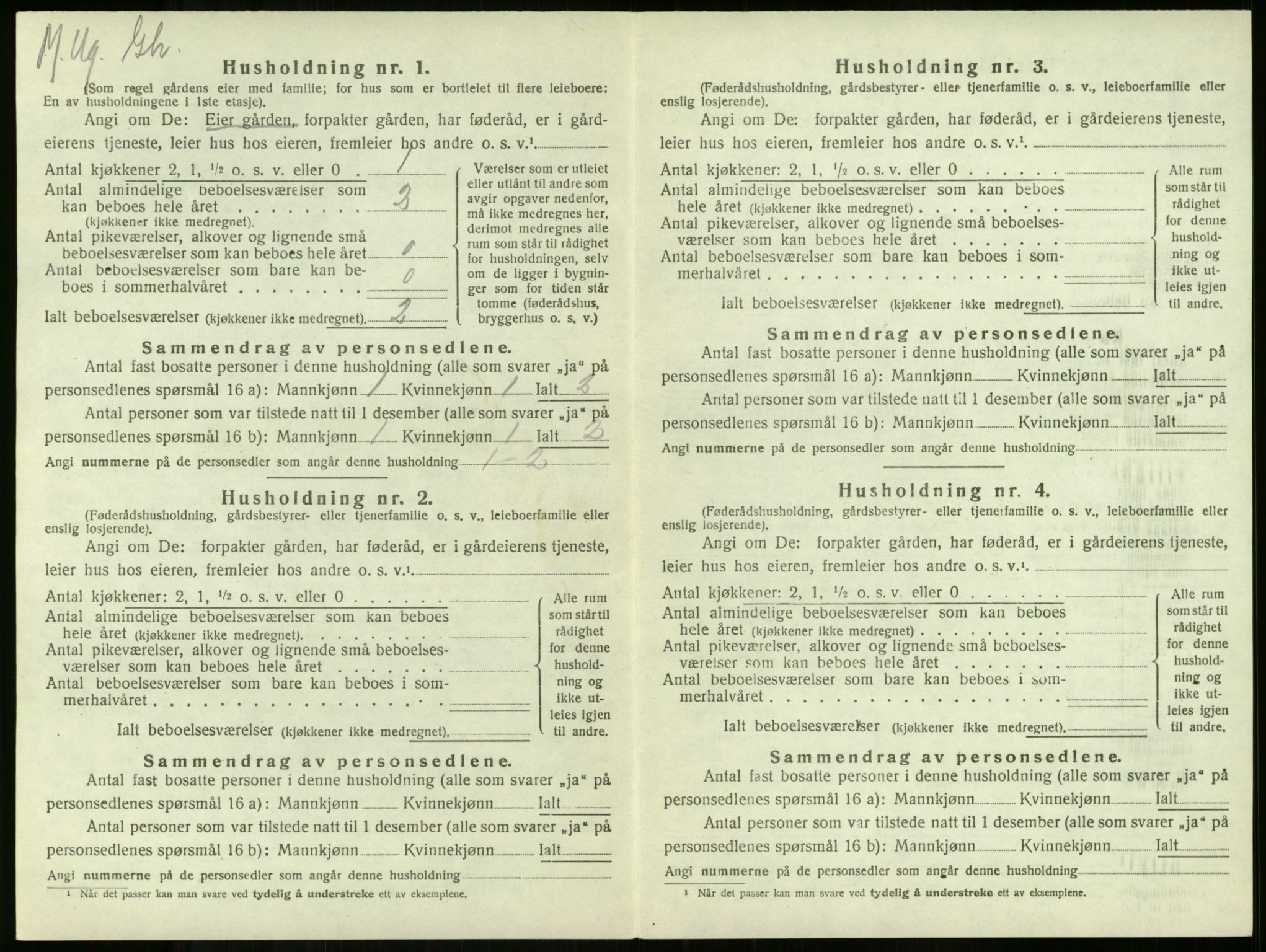 SAKO, 1920 census for Borre, 1920, p. 974