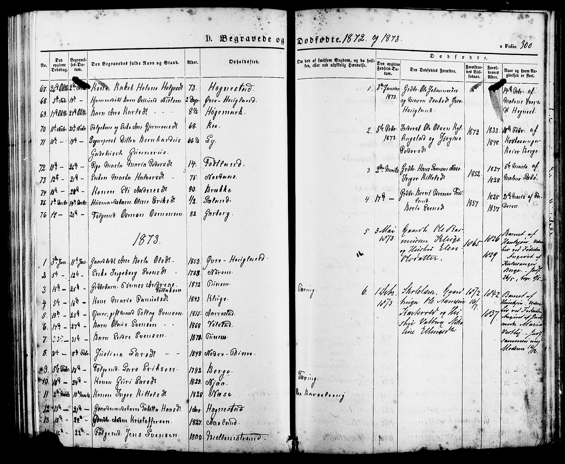 Lye sokneprestkontor, SAST/A-101794/001/30BA/L0008: Parish register (official) no. A 7, 1872-1881, p. 300