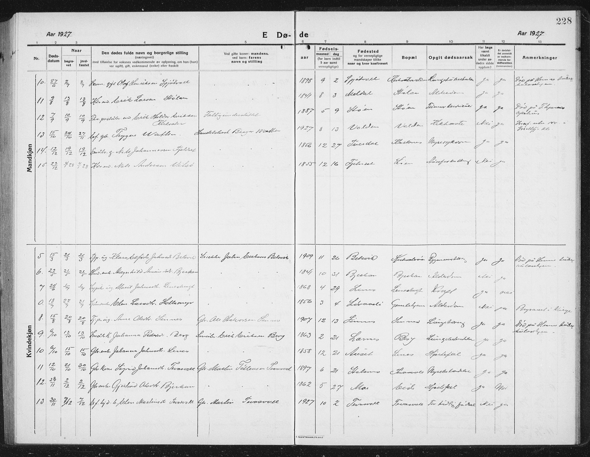 Ministerialprotokoller, klokkerbøker og fødselsregistre - Sør-Trøndelag, AV/SAT-A-1456/630/L0506: Parish register (copy) no. 630C04, 1914-1933, p. 228