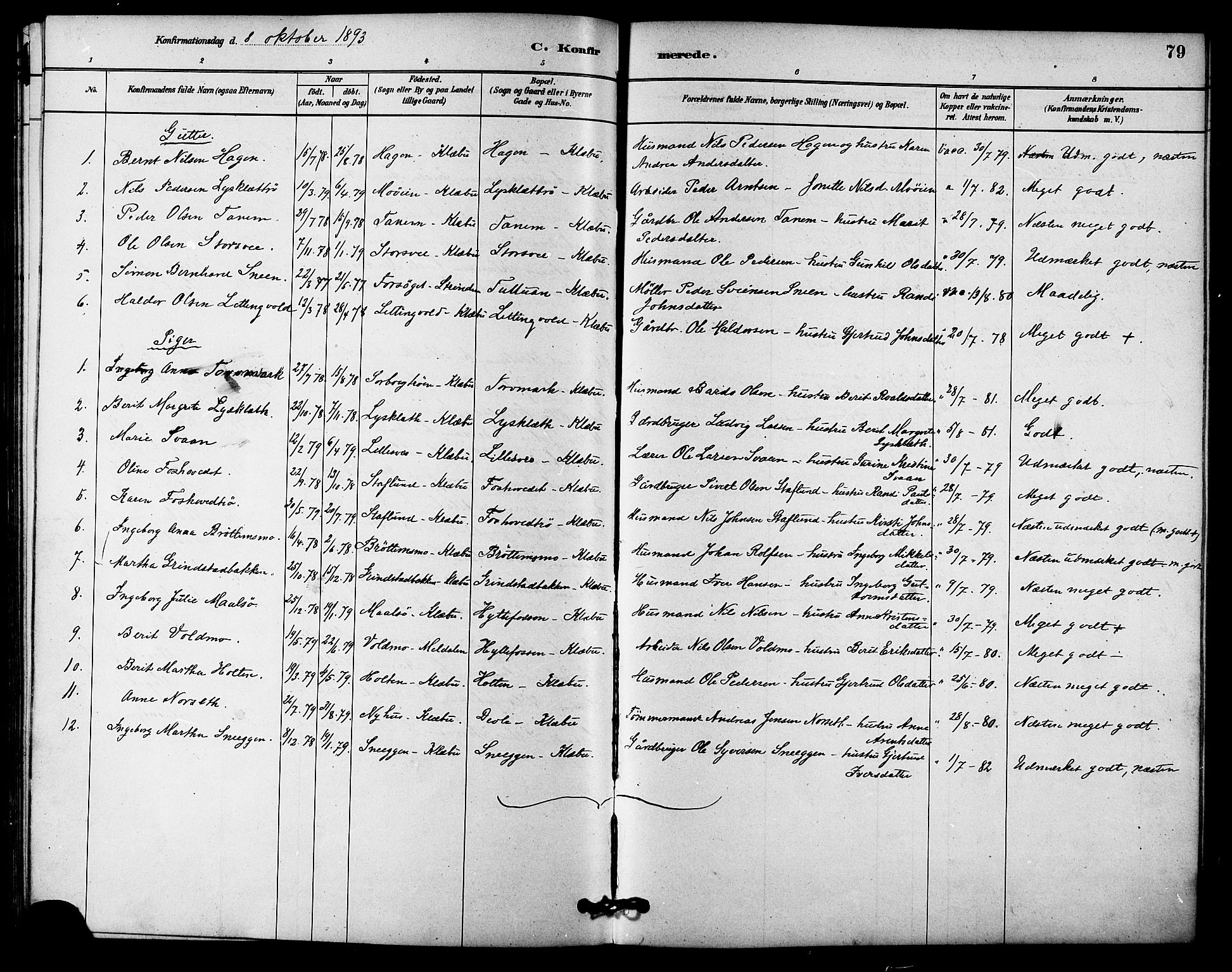 Ministerialprotokoller, klokkerbøker og fødselsregistre - Sør-Trøndelag, AV/SAT-A-1456/618/L0444: Parish register (official) no. 618A07, 1880-1898, p. 79