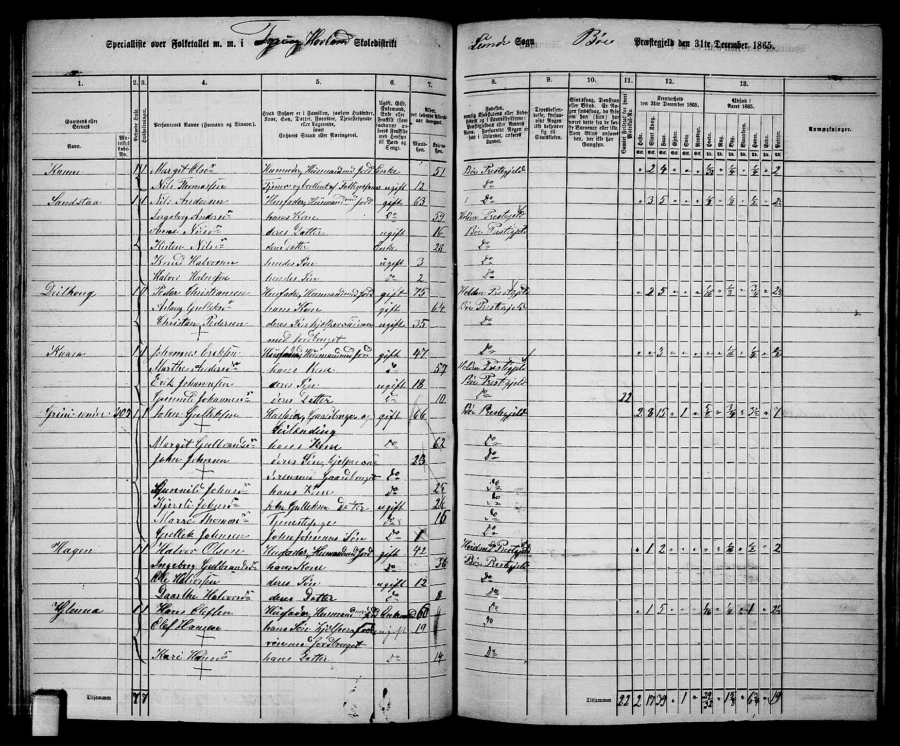 RA, 1865 census for Bø, 1865, p. 81