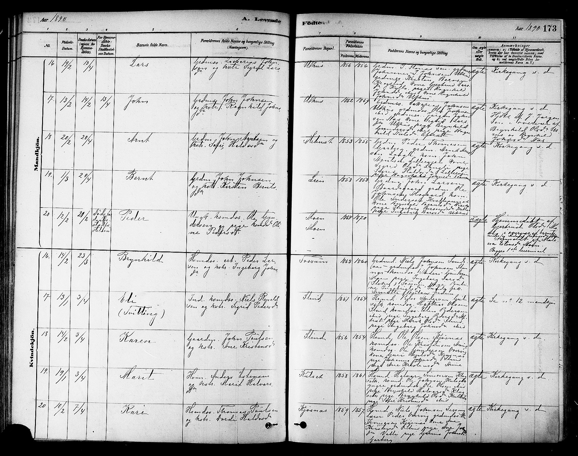 Ministerialprotokoller, klokkerbøker og fødselsregistre - Sør-Trøndelag, AV/SAT-A-1456/695/L1148: Parish register (official) no. 695A08, 1878-1891, p. 173