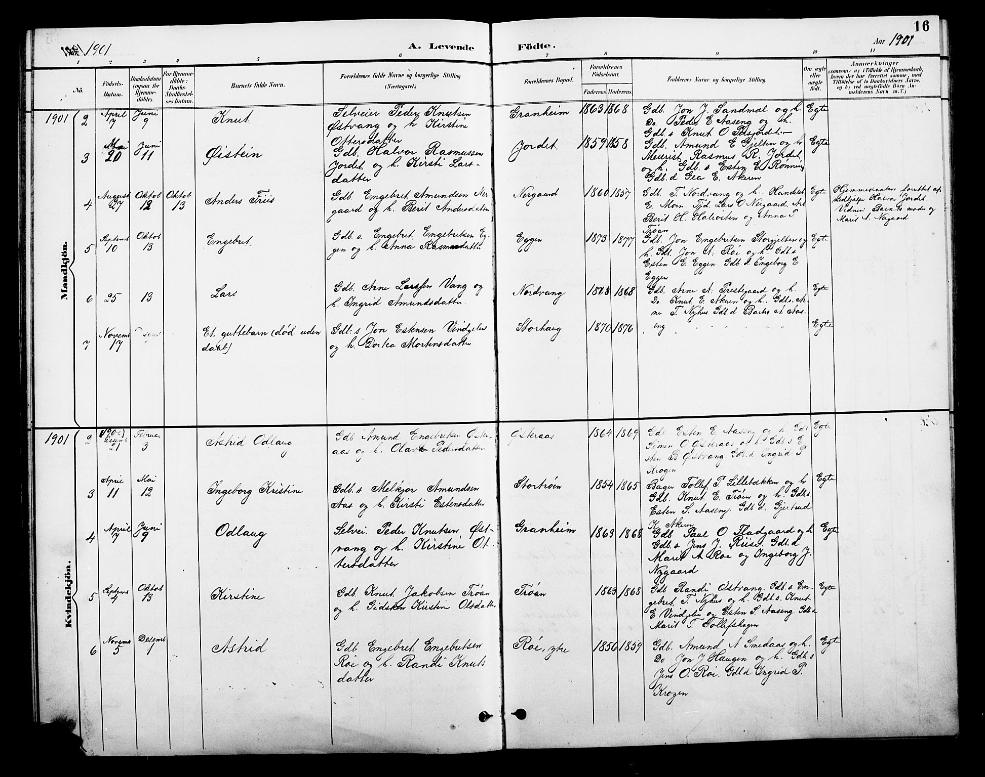 Tolga prestekontor, SAH/PREST-062/L/L0010: Parish register (copy) no. 10, 1894-1918, p. 16