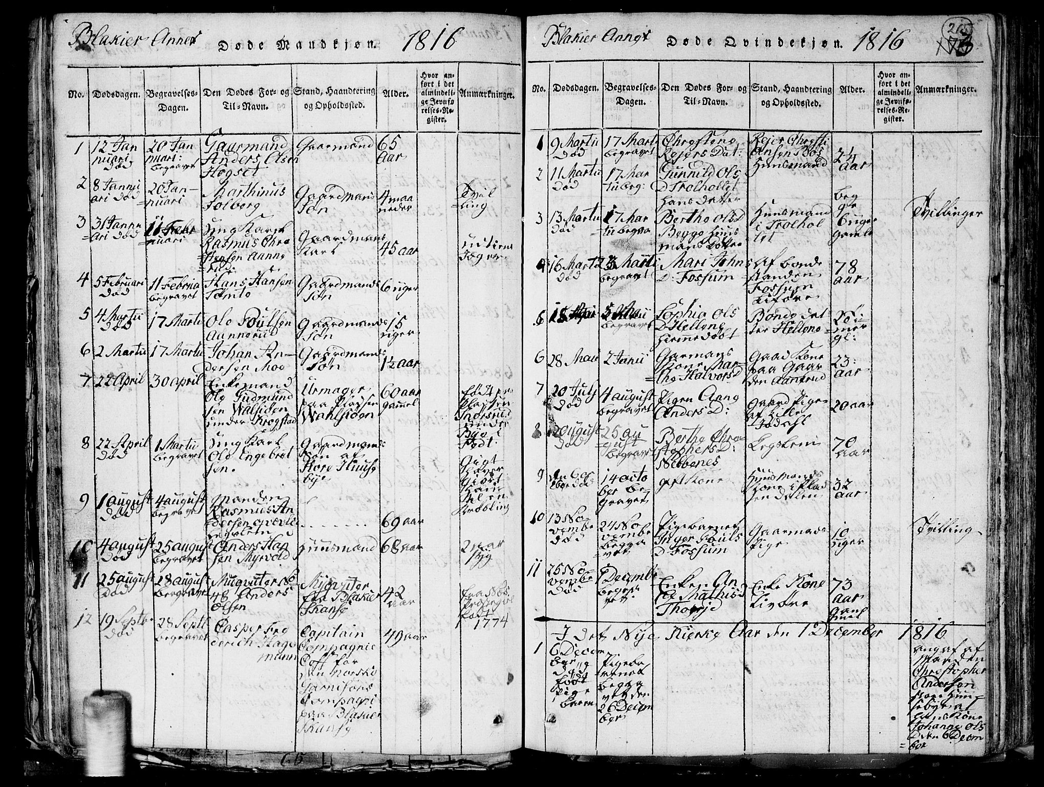 Aurskog prestekontor Kirkebøker, SAO/A-10304a/G/Ga/L0001: Parish register (copy) no. I 1, 1814-1829, p. 215