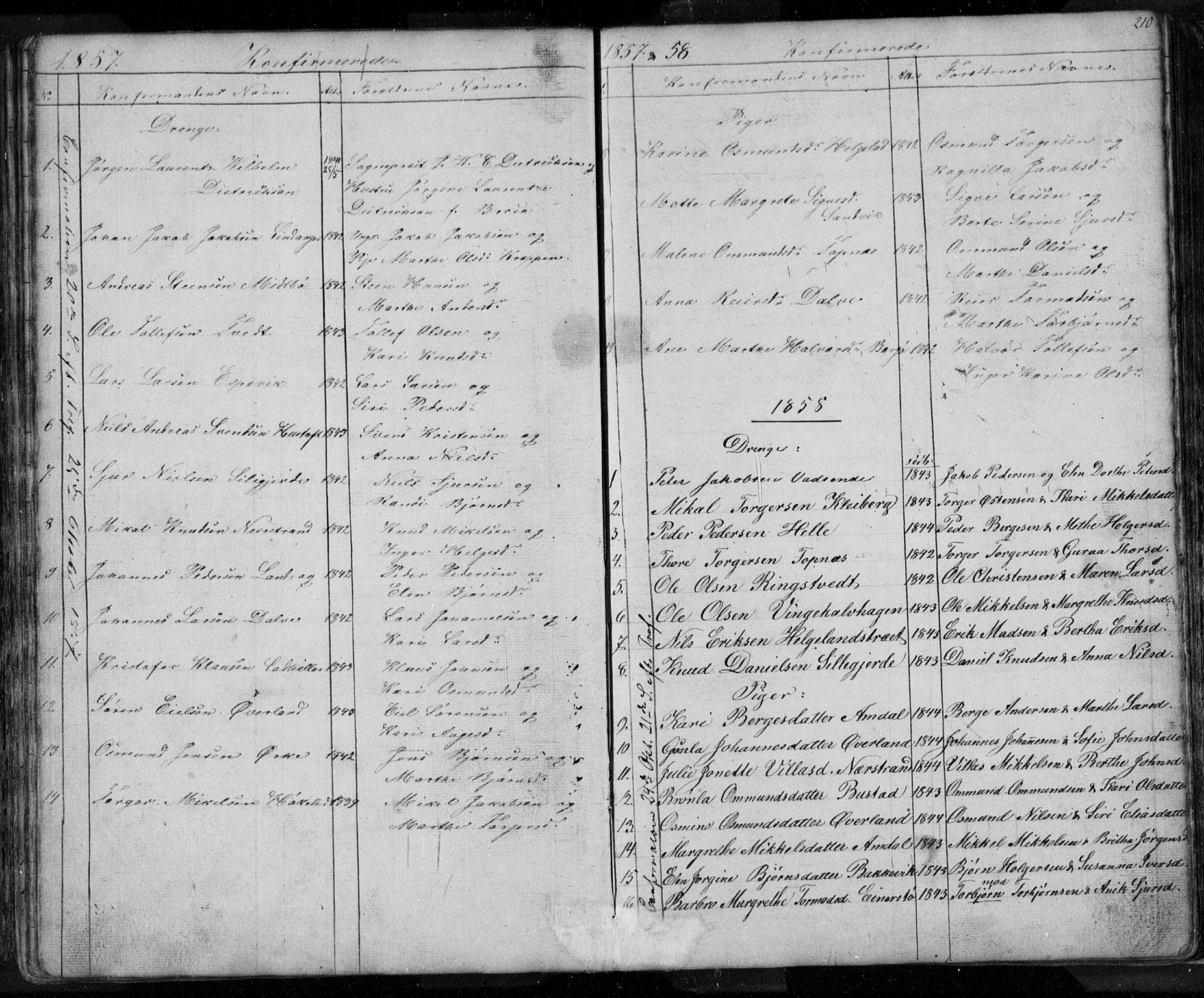 Nedstrand sokneprestkontor, SAST/A-101841/01/V: Parish register (copy) no. B 3, 1848-1933, p. 210