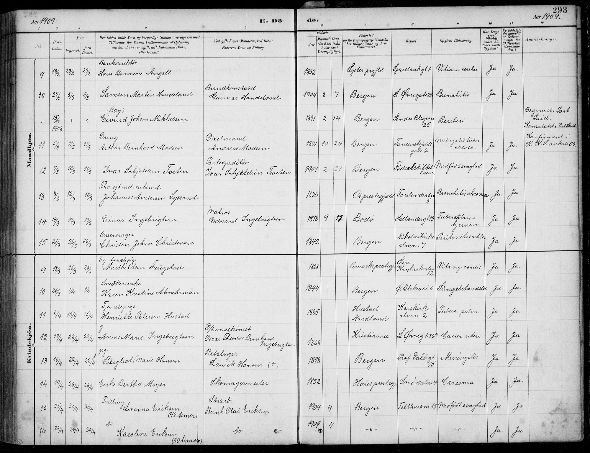 Korskirken sokneprestembete, AV/SAB-A-76101/H/Hab: Parish register (copy) no. E 4, 1884-1910, p. 293