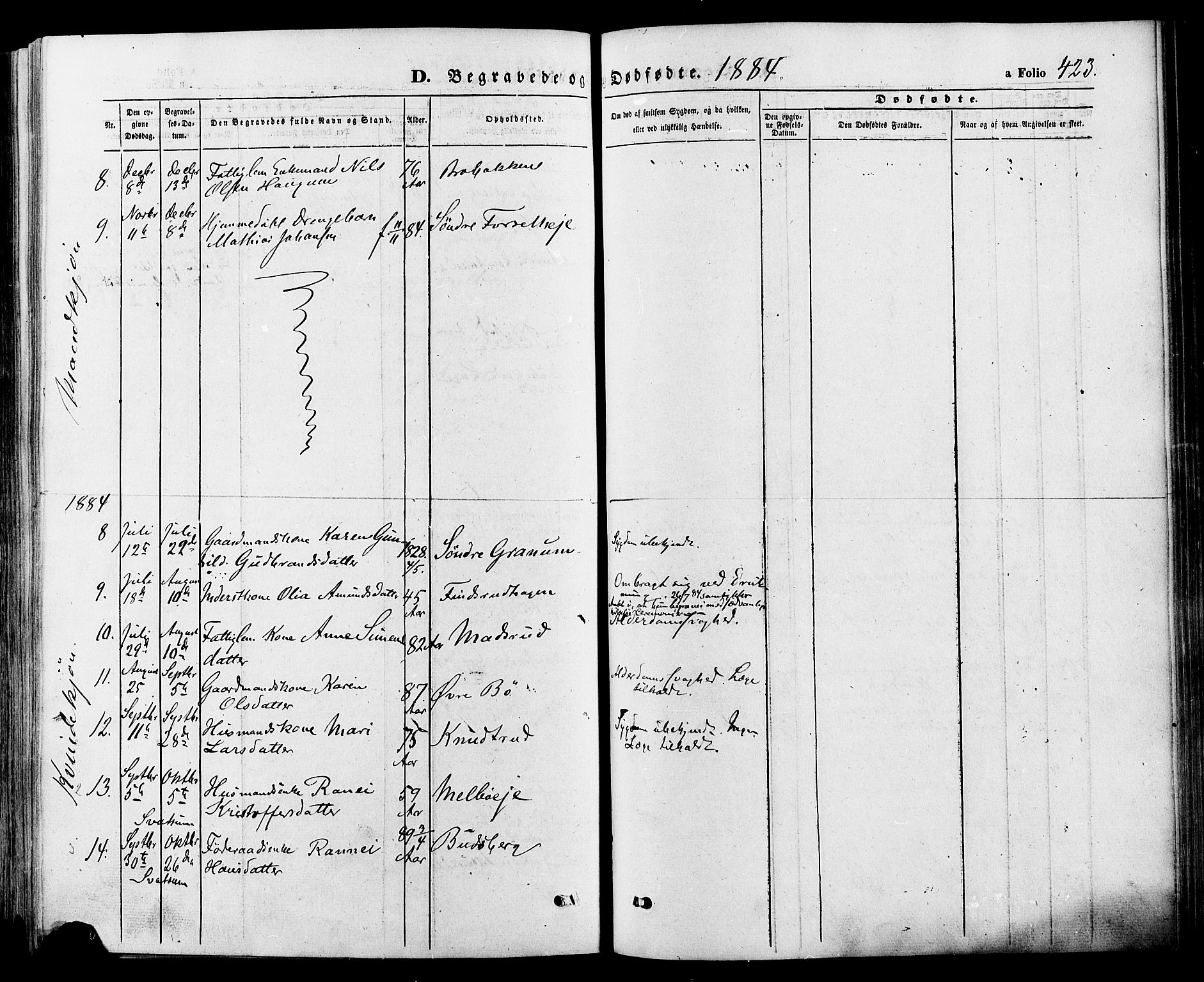 Gausdal prestekontor, SAH/PREST-090/H/Ha/Haa/L0010: Parish register (official) no. 10, 1867-1886, p. 423