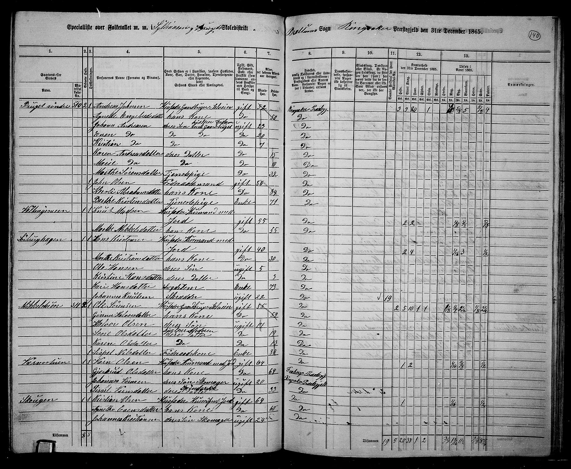 RA, 1865 census for Ringsaker, 1865, p. 383