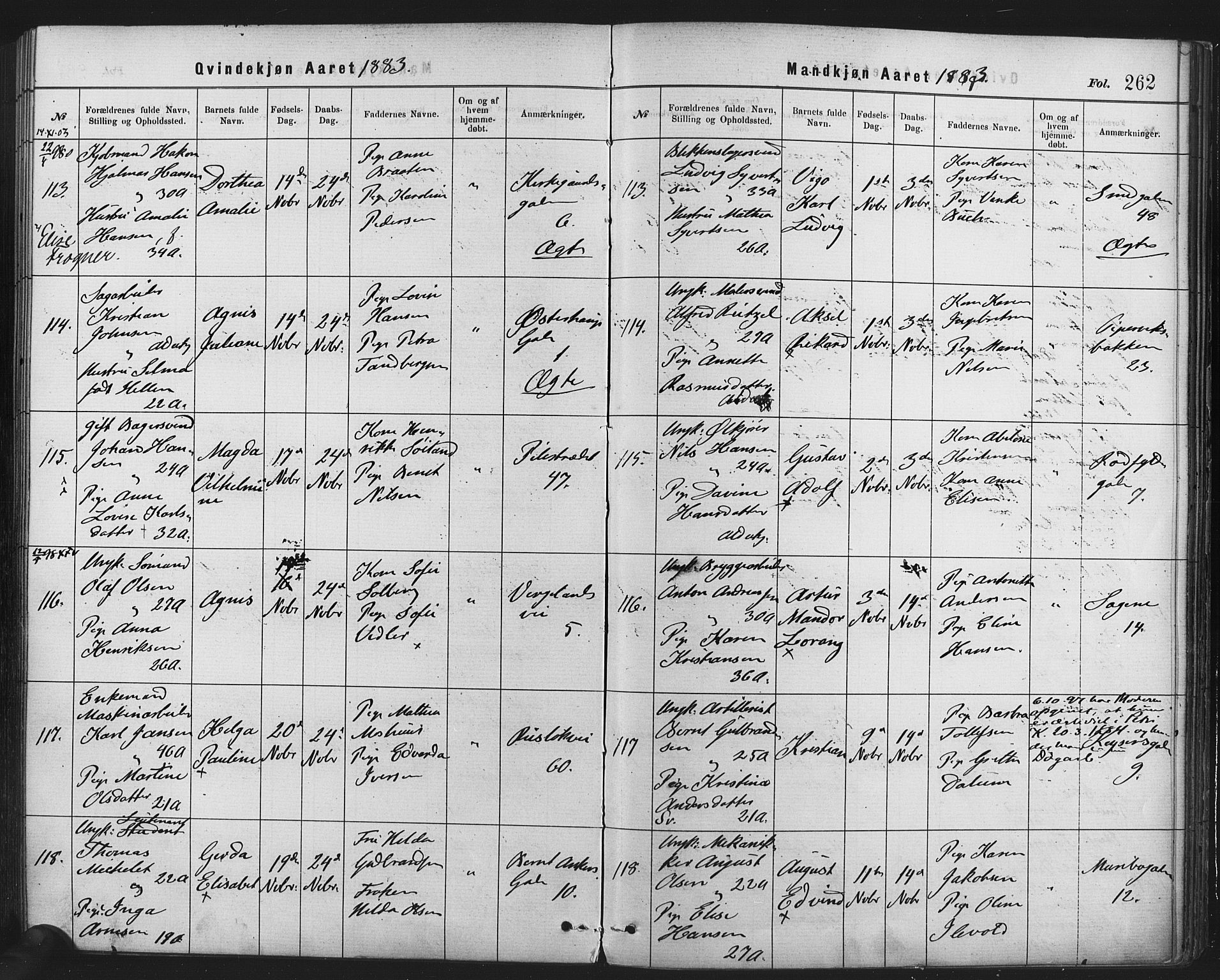 Rikshospitalet prestekontor Kirkebøker, SAO/A-10309b/F/L0006: Parish register (official) no. 6, 1871-1885, p. 262