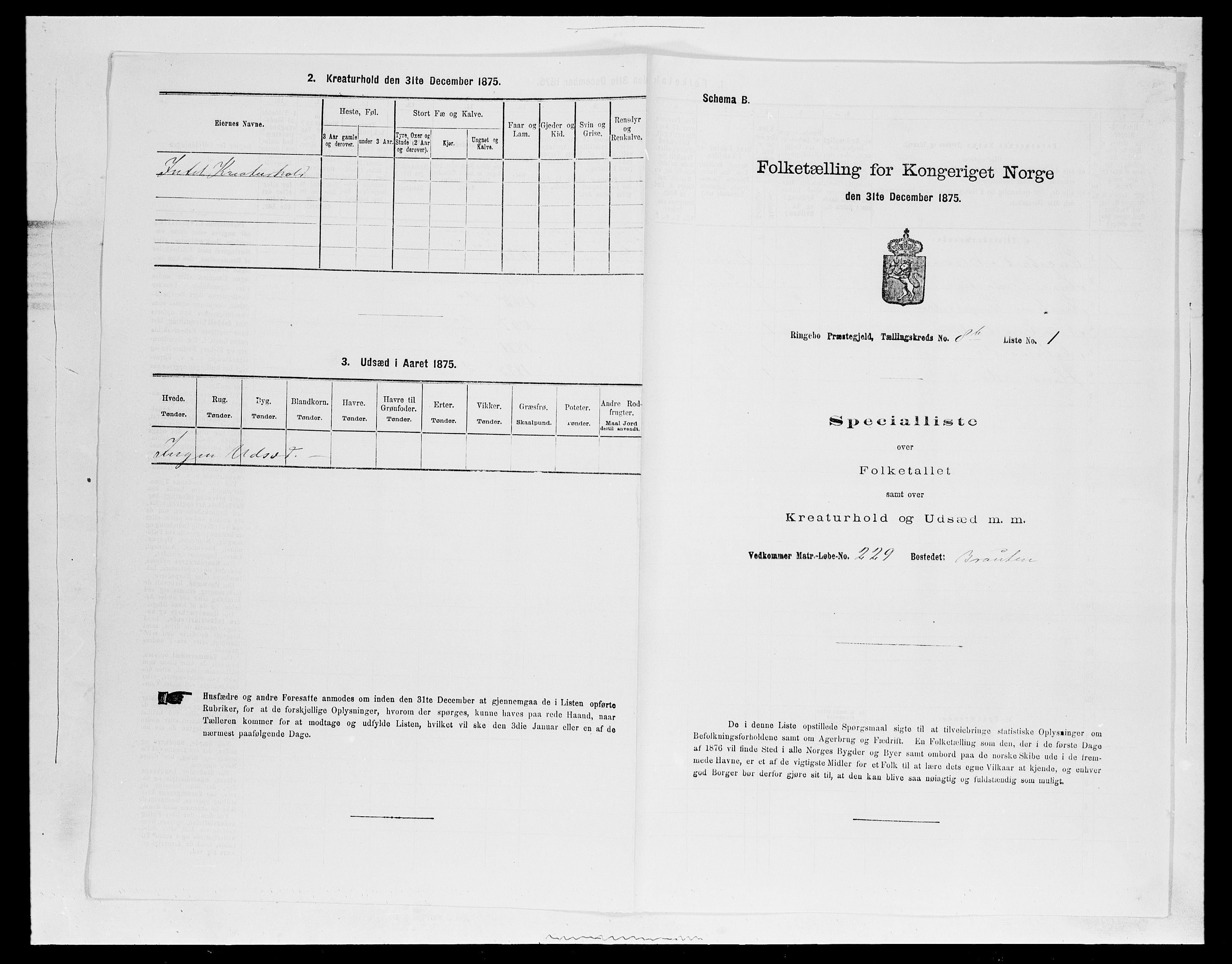 SAH, 1875 census for 0520P Ringebu, 1875, p. 1272