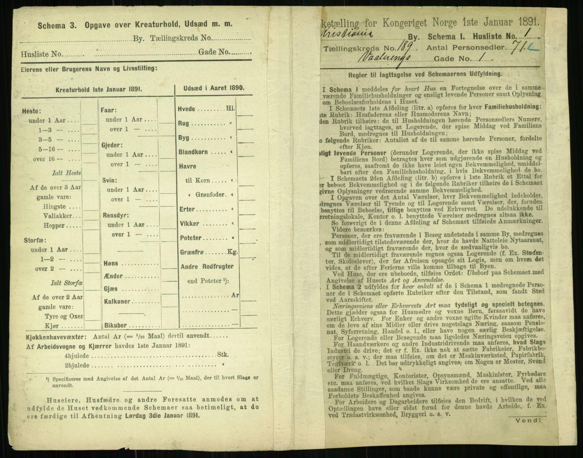 RA, 1891 census for 0301 Kristiania, 1891, p. 113131