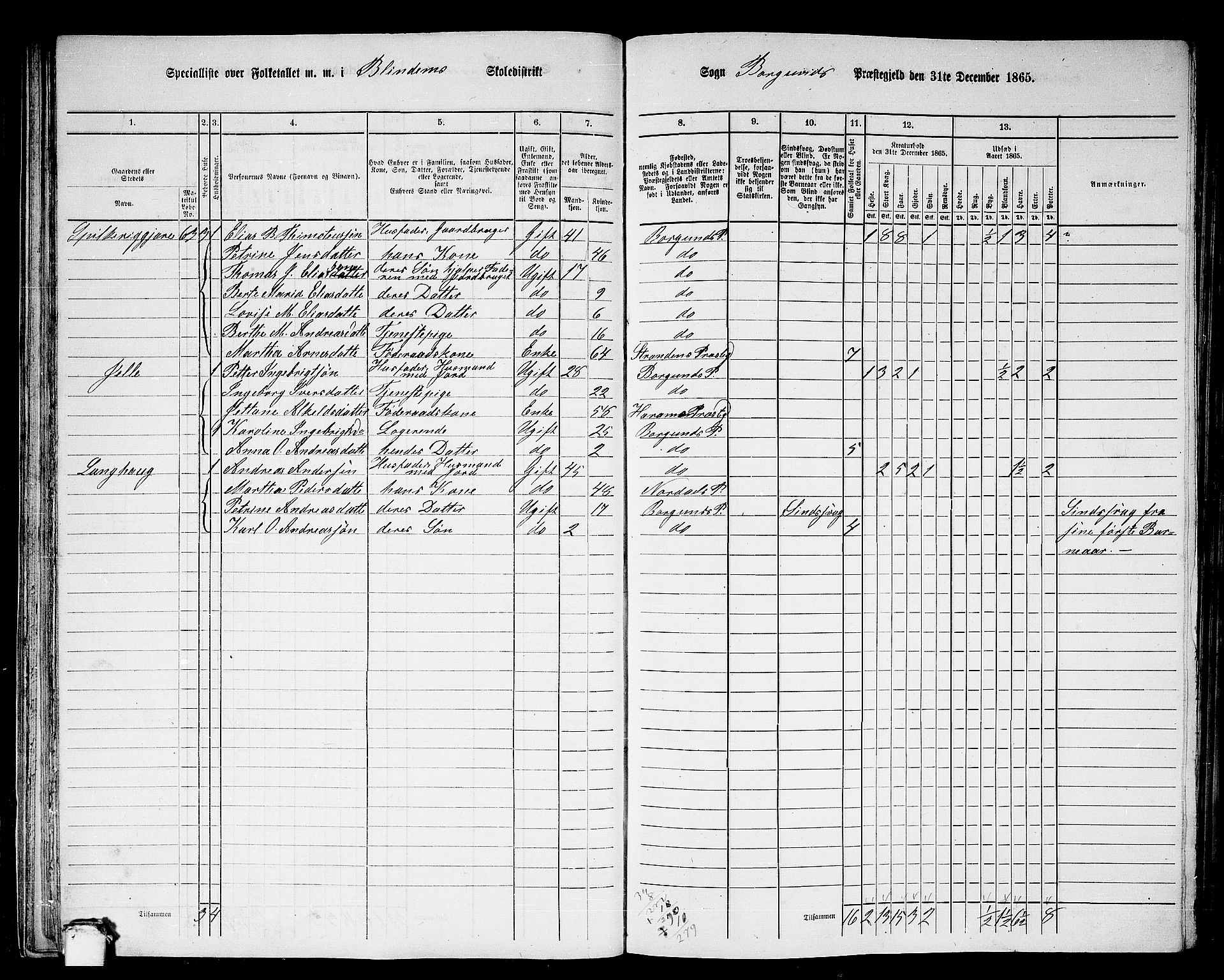 RA, 1865 census for Borgund, 1865, p. 36