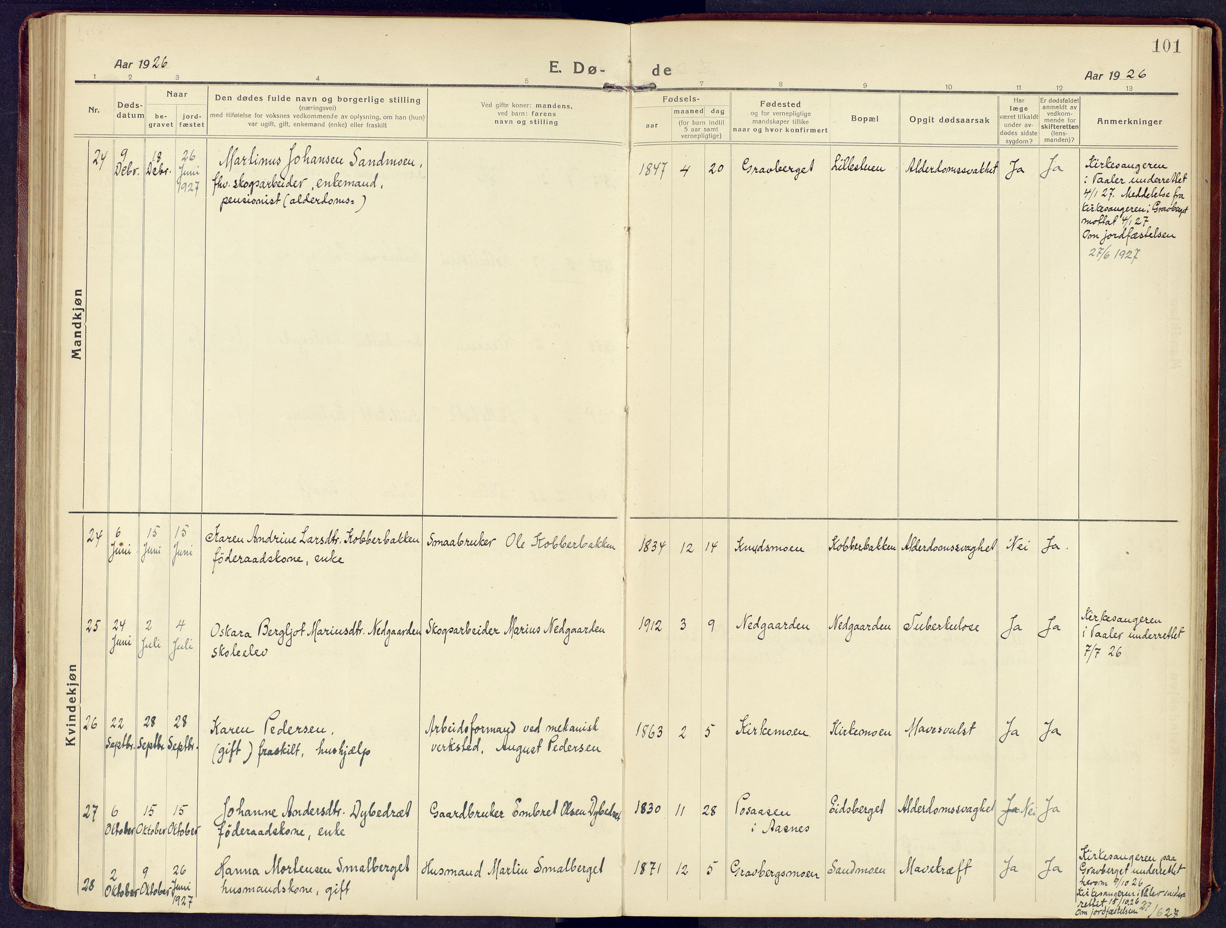 Våler prestekontor, Hedmark, AV/SAH-PREST-040/H/Ha/Haa/L0011: Parish register (official) no. 11, 1919-1933, p. 101
