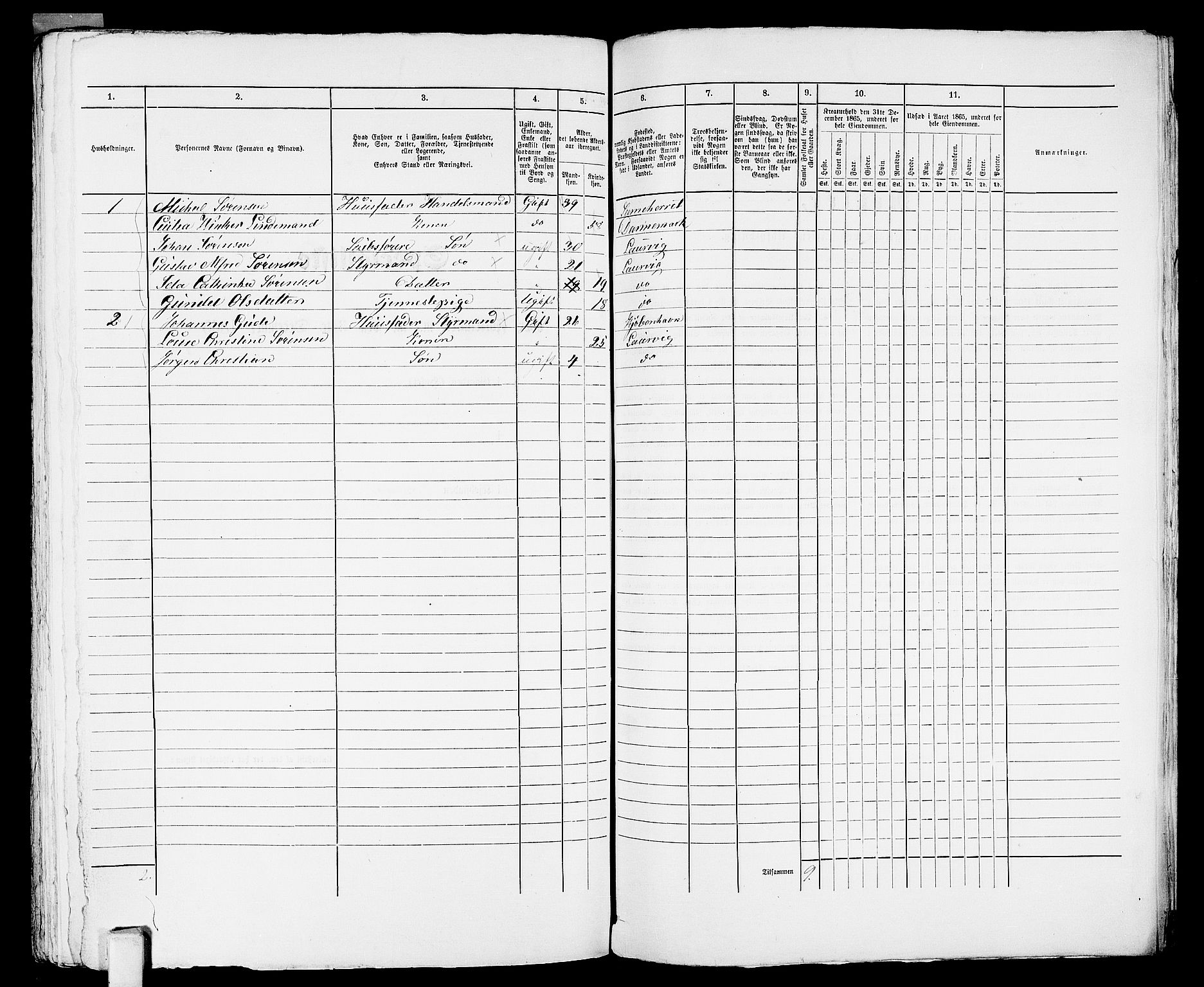 RA, 1865 census for Larvik, 1865, p. 1141