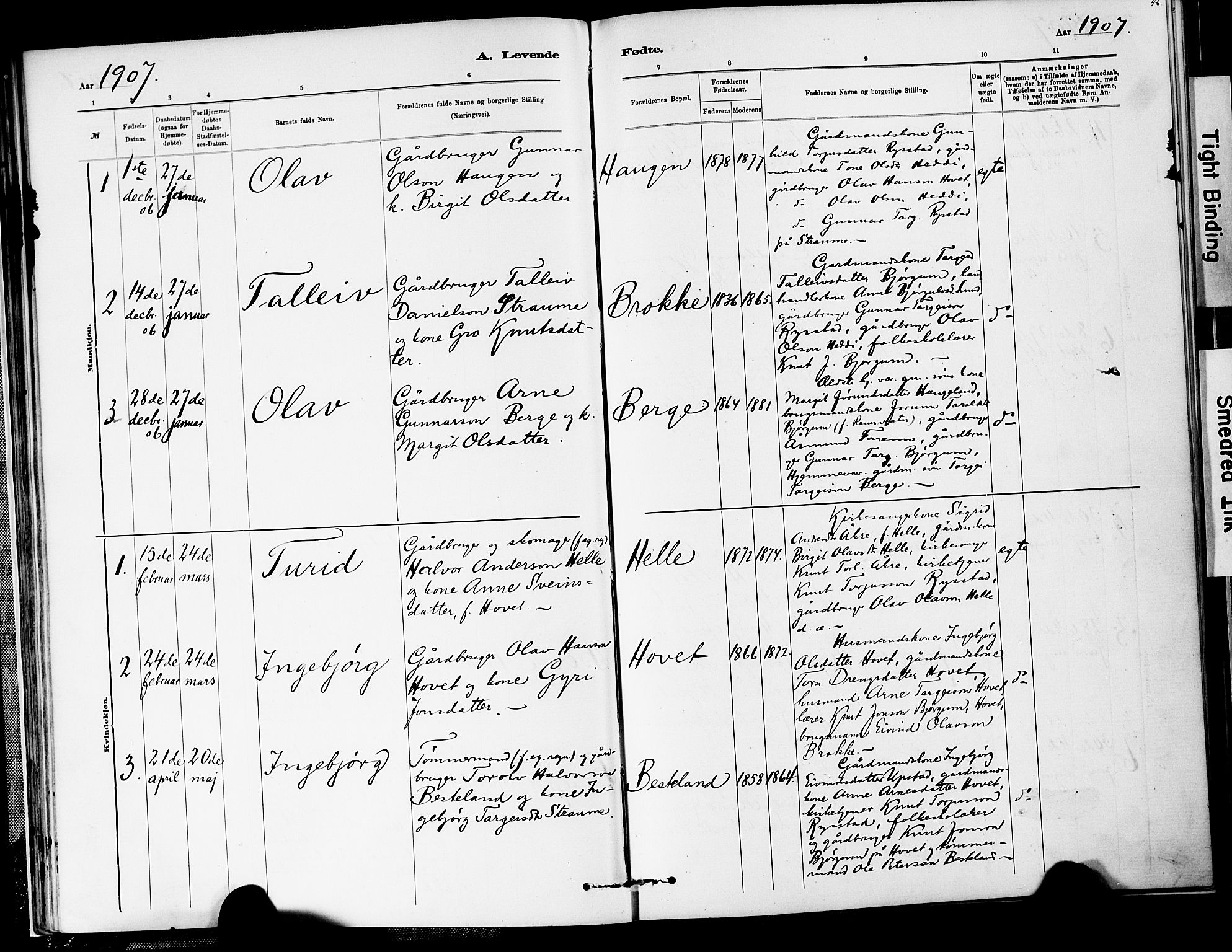 Valle sokneprestkontor, SAK/1111-0044/F/Fa/Fab/L0001: Parish register (official) no. A 1, 1882-1910, p. 46