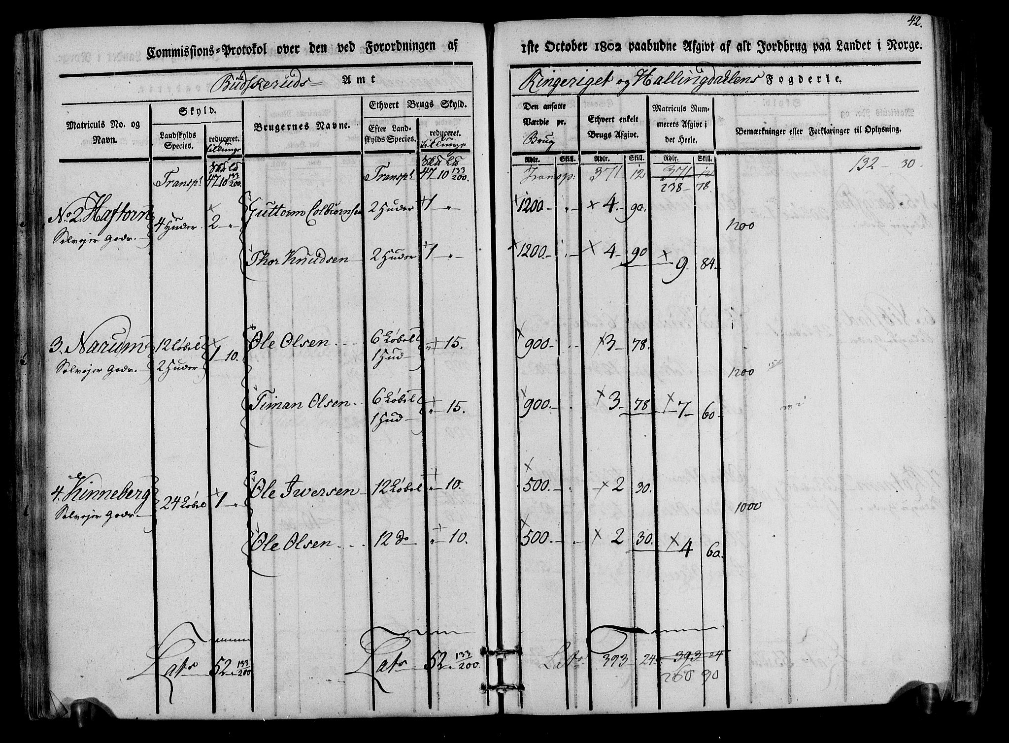 Rentekammeret inntil 1814, Realistisk ordnet avdeling, RA/EA-4070/N/Ne/Nea/L0047: Ringerike og Hallingdal fogderi. Kommisjonsprotokoll for Nes prestegjeld, 1803, p. 44