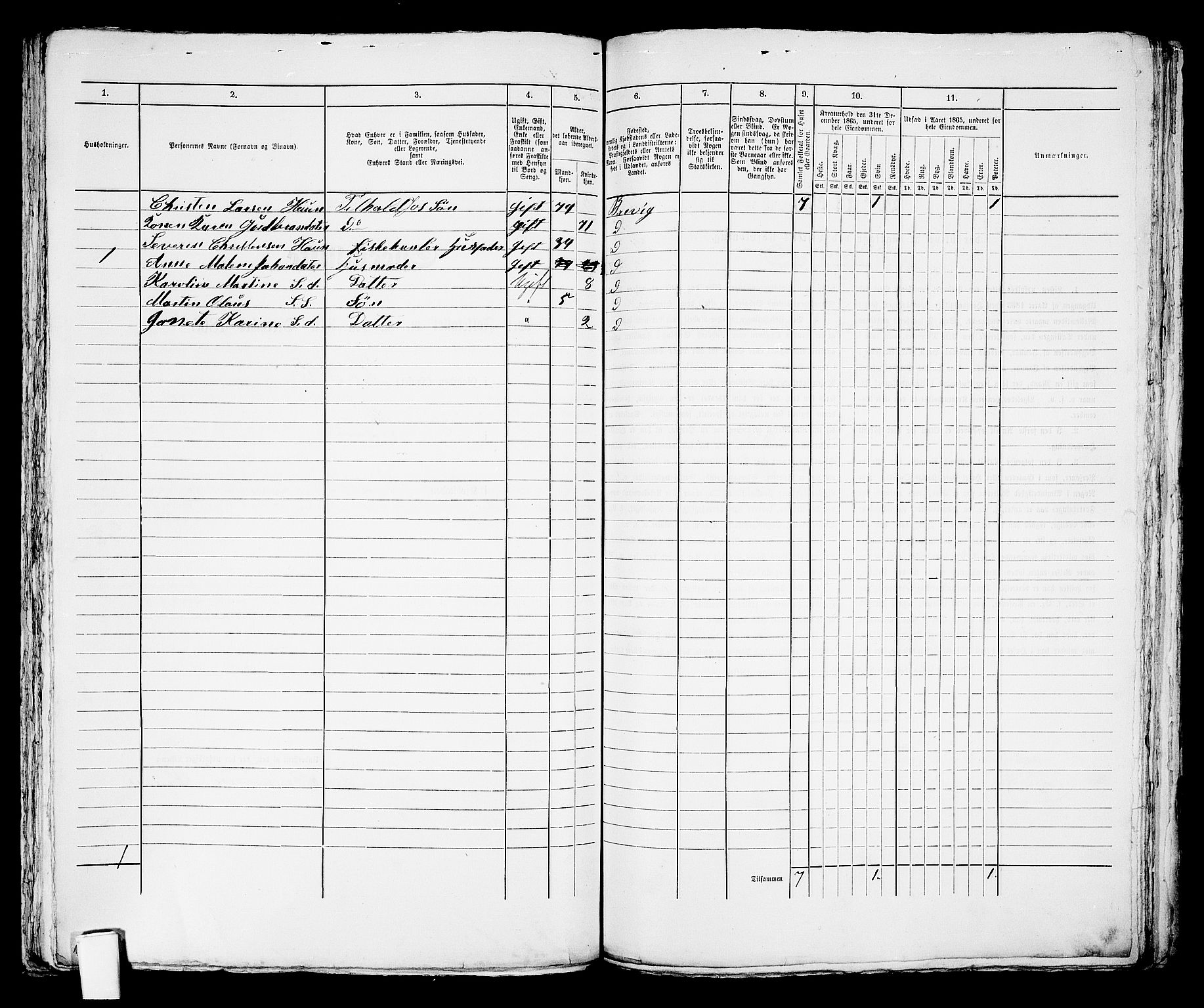 RA, 1865 census for Brevik, 1865, p. 299