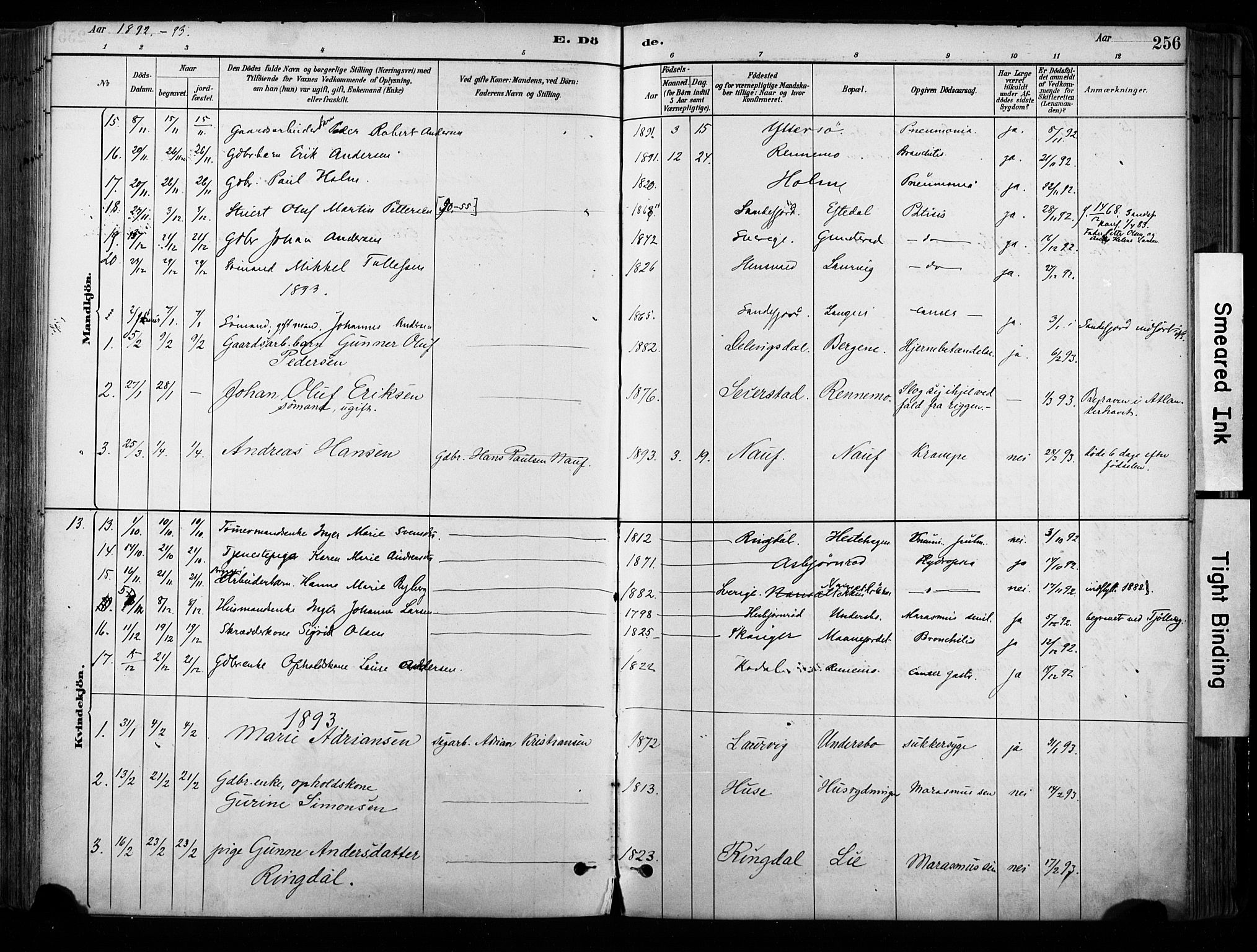 Hedrum kirkebøker, SAKO/A-344/F/Fa/L0009: Parish register (official) no. I 9, 1881-1903, p. 256