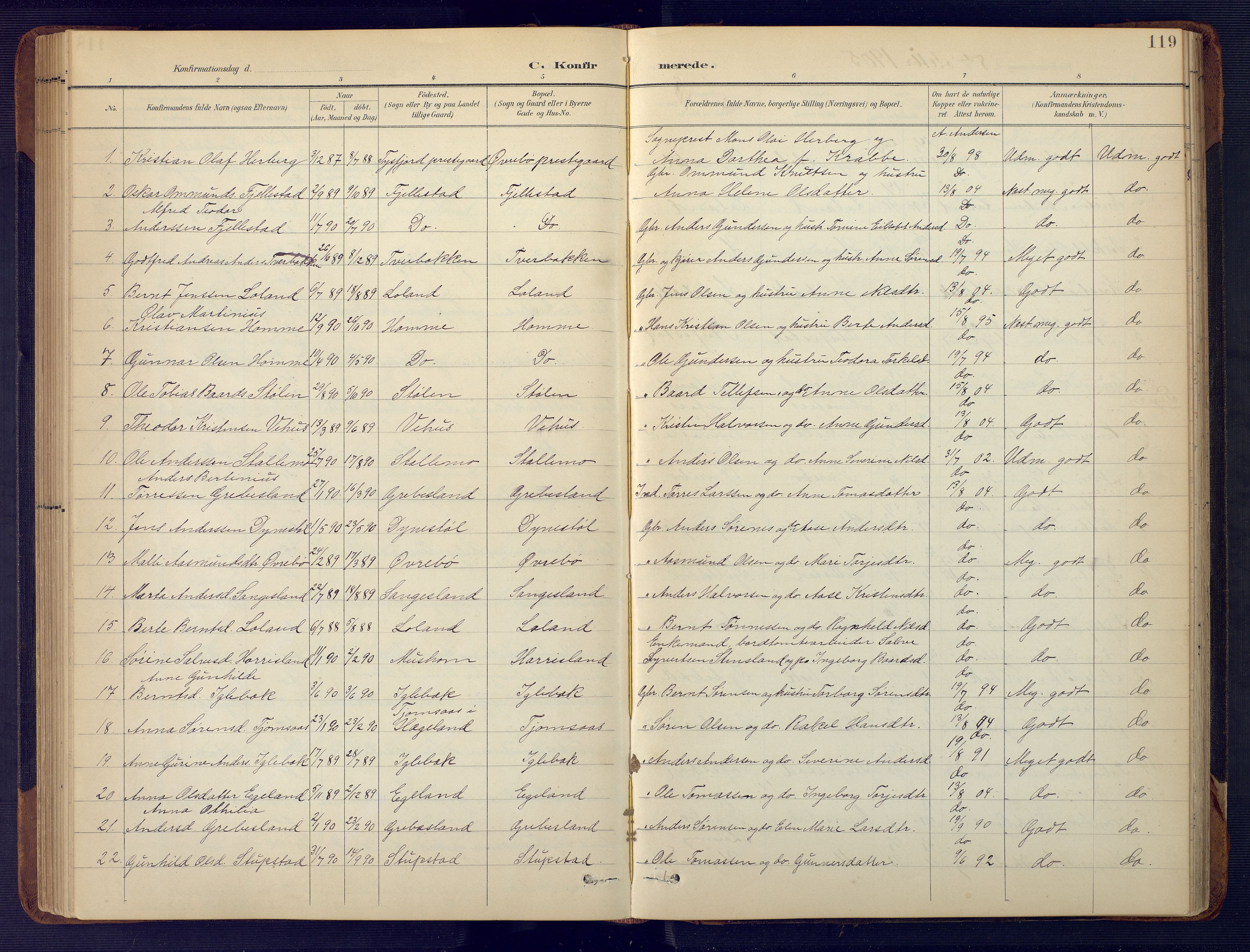 Vennesla sokneprestkontor, SAK/1111-0045/Fb/Fbc/L0003: Parish register (copy) no. B 3, 1895-1946, p. 119