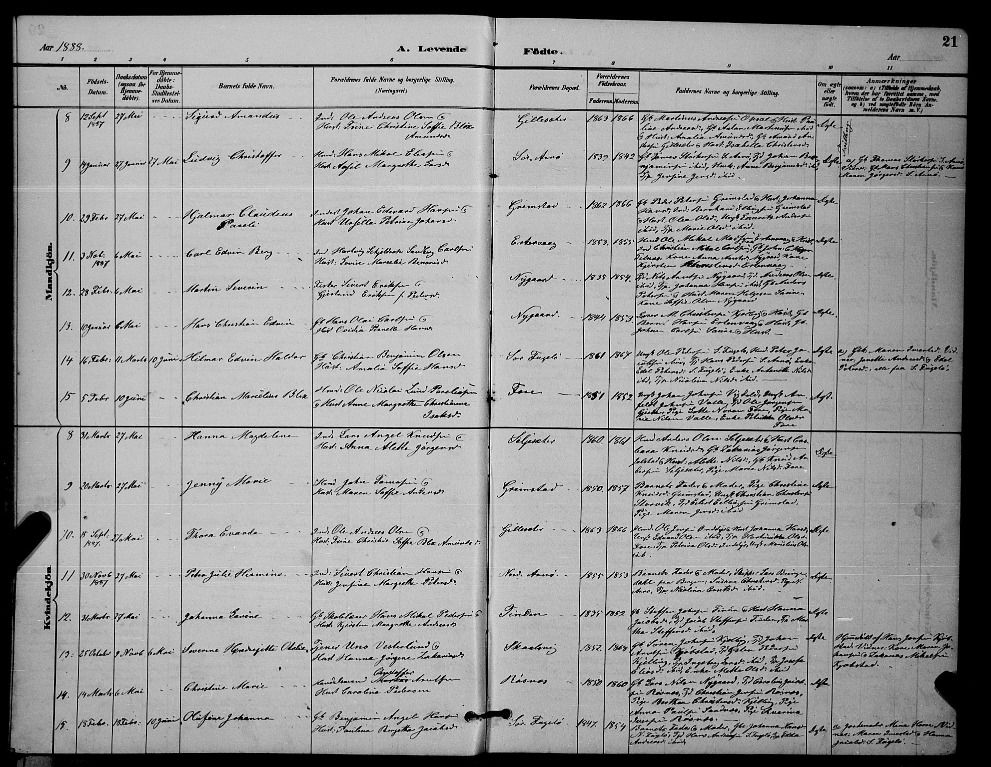 Ministerialprotokoller, klokkerbøker og fødselsregistre - Nordland, AV/SAT-A-1459/805/L0108: Parish register (copy) no. 805C04, 1885-1899, p. 21