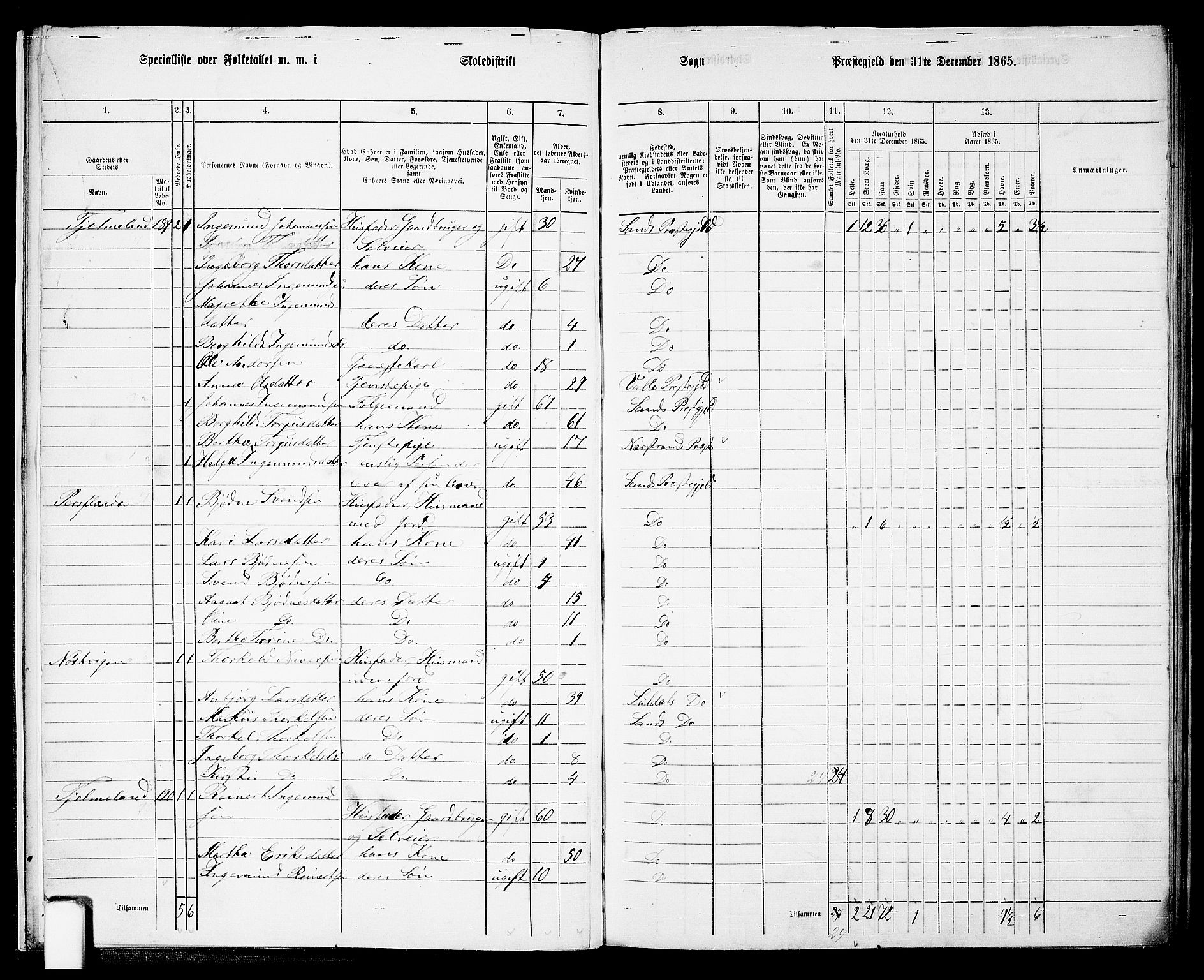 RA, 1865 census for Sand, 1865, p. 11