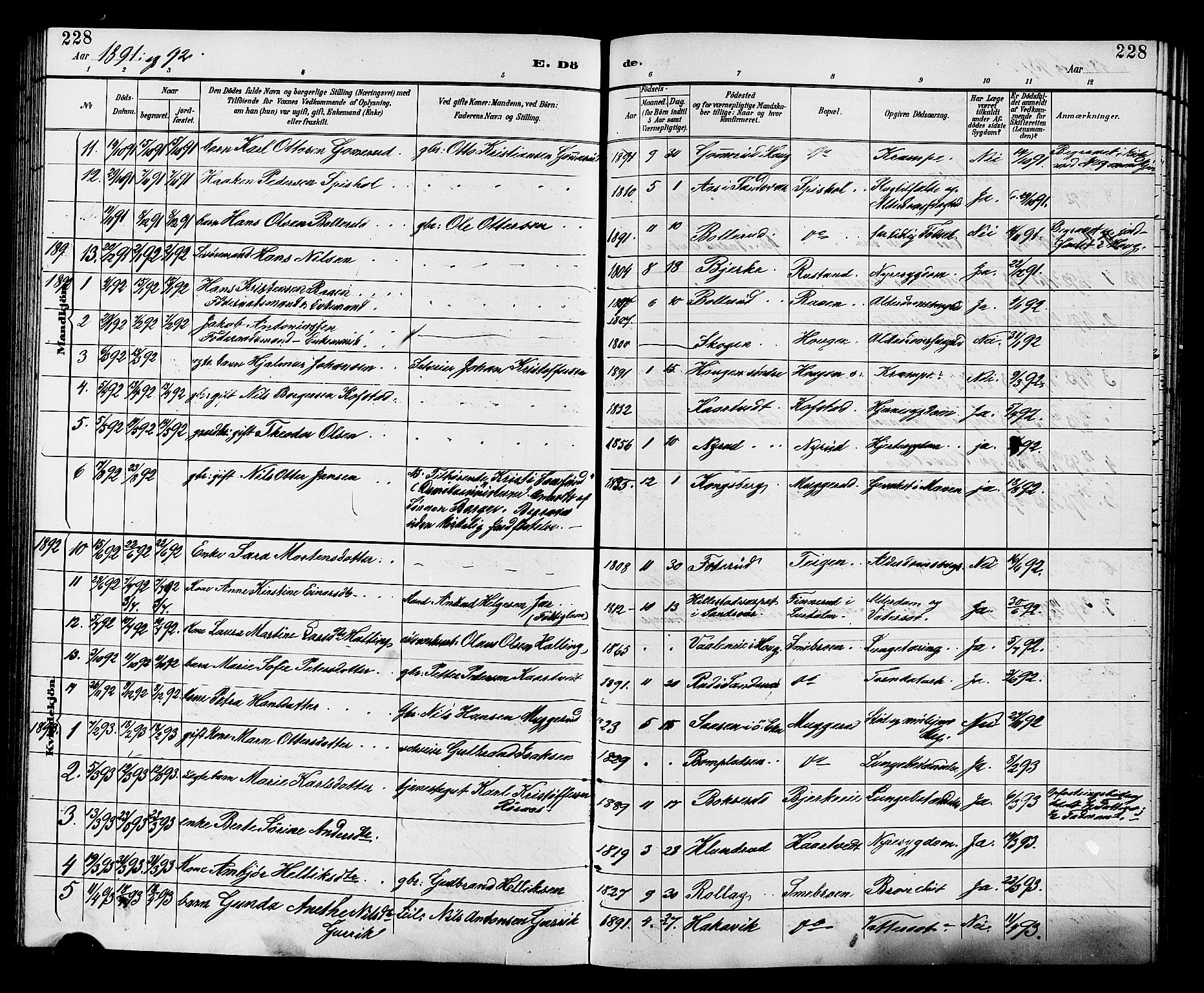 Fiskum kirkebøker, AV/SAKO-A-15/G/Ga/L0005: Parish register (copy) no. 5, 1887-1912, p. 228