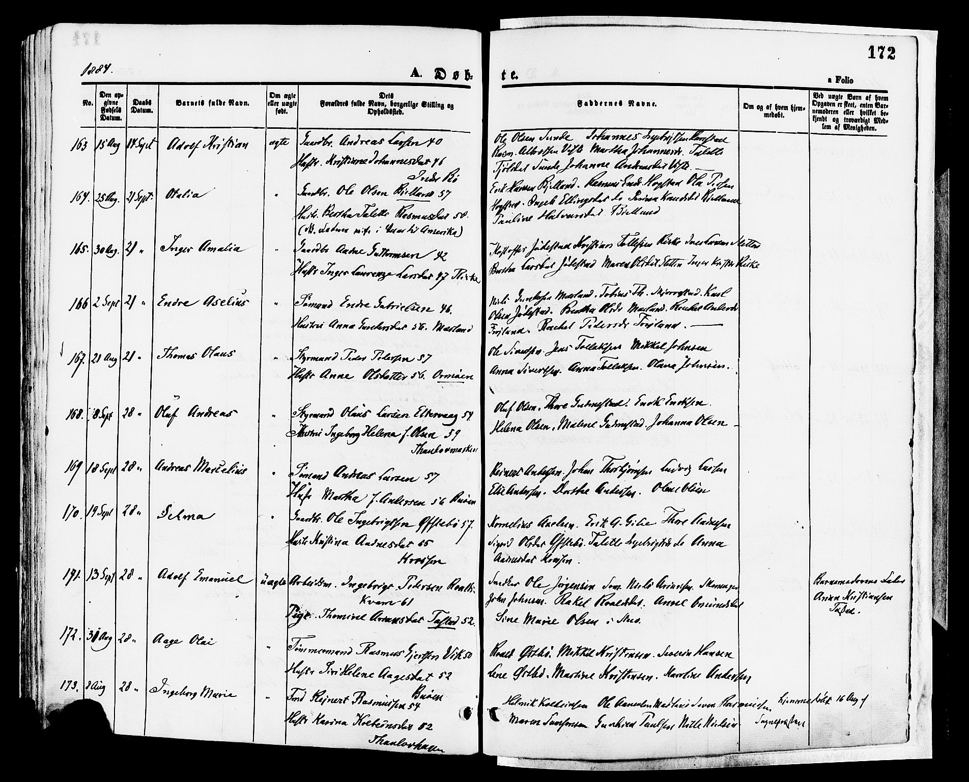 Hetland sokneprestkontor, AV/SAST-A-101826/30/30BA/L0008: Parish register (official) no. A 8, 1877-1884, p. 172