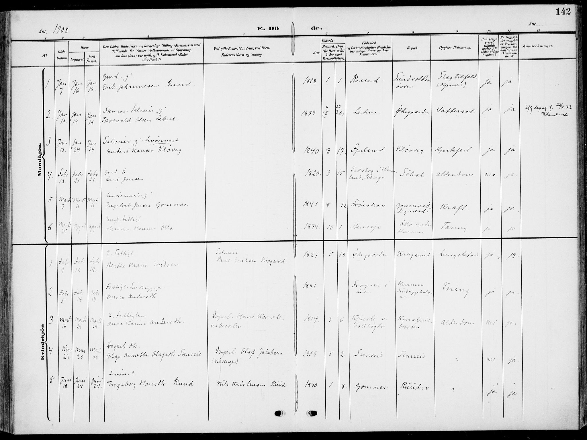 Hole kirkebøker, SAKO/A-228/F/Fa/L0010: Parish register (official) no. I 10, 1907-1917, p. 142