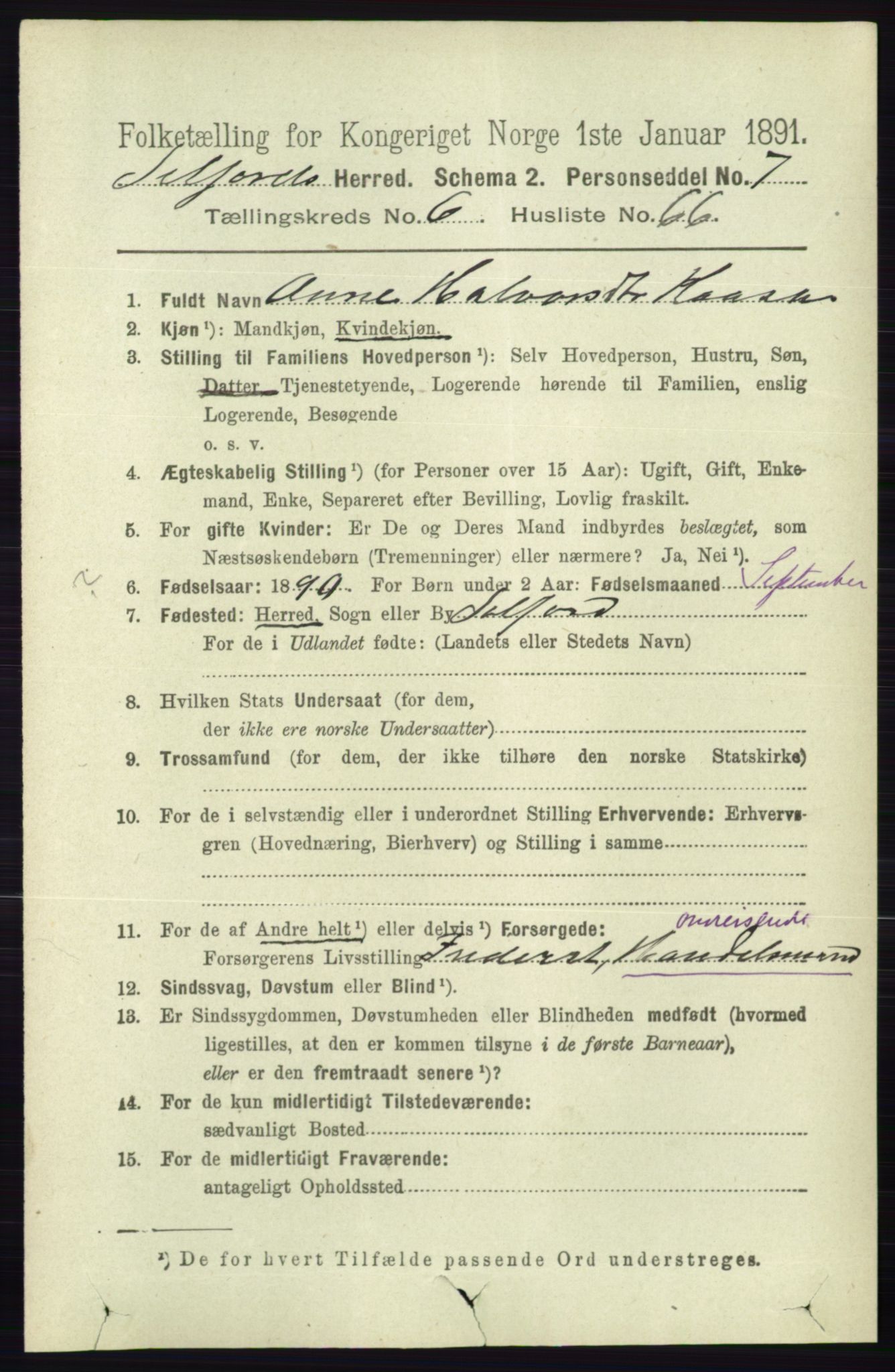 RA, 1891 census for 0828 Seljord, 1891, p. 2555