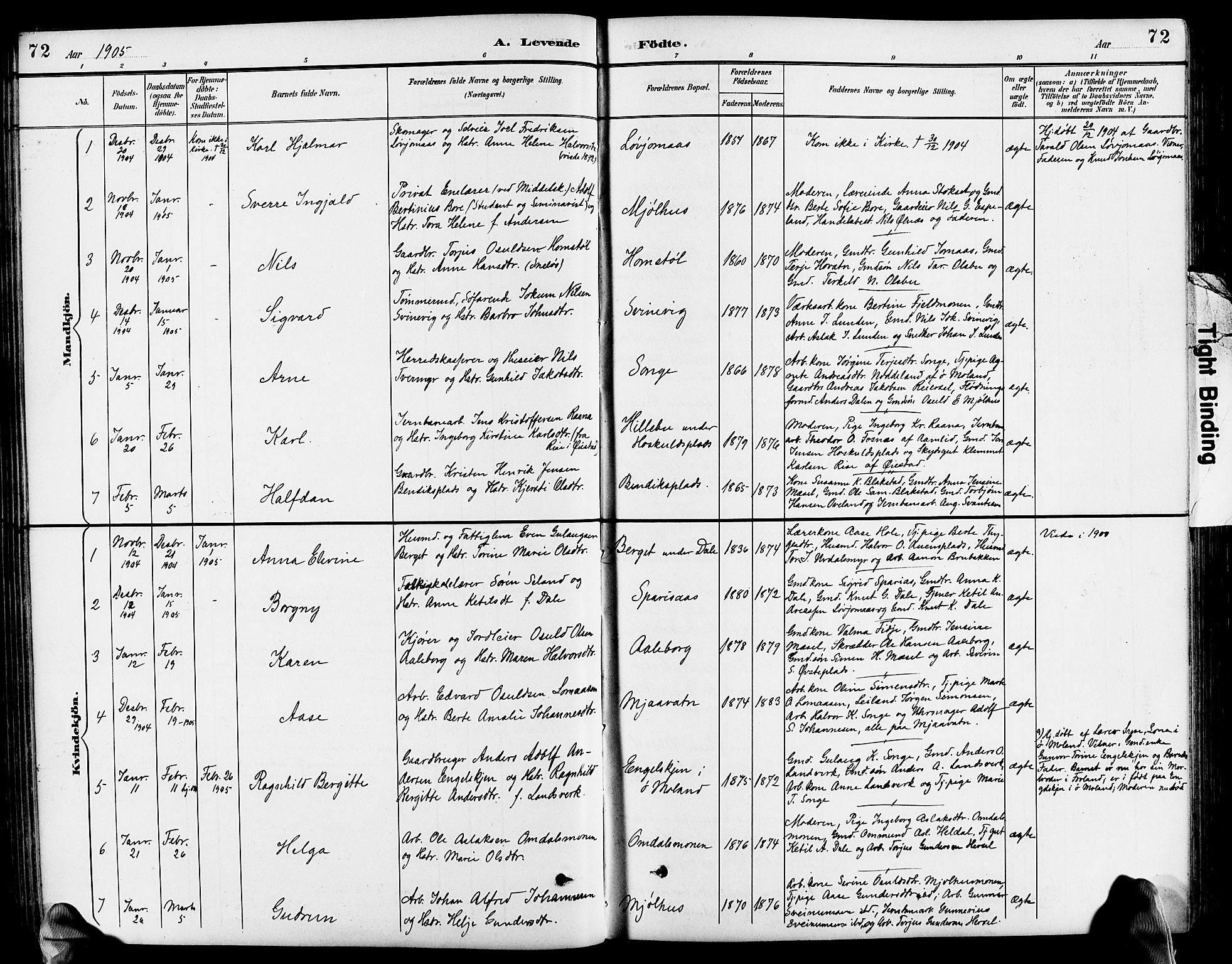 Froland sokneprestkontor, SAK/1111-0013/F/Fb/L0010: Parish register (copy) no. B 10, 1893-1920, p. 72