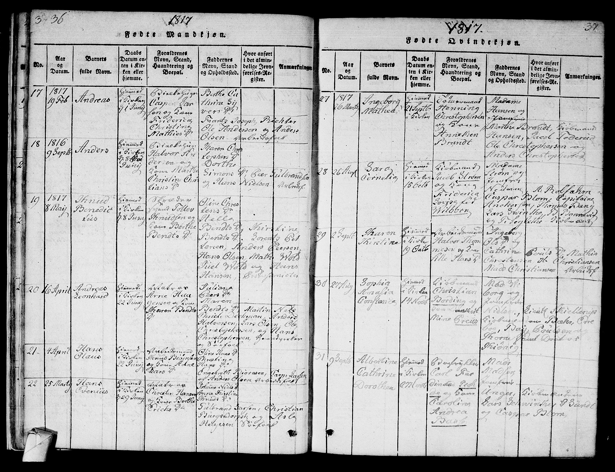 Strømsø kirkebøker, SAKO/A-246/F/Fa/L0011: Parish register (official) no. I 11, 1815-1829, p. 36-37