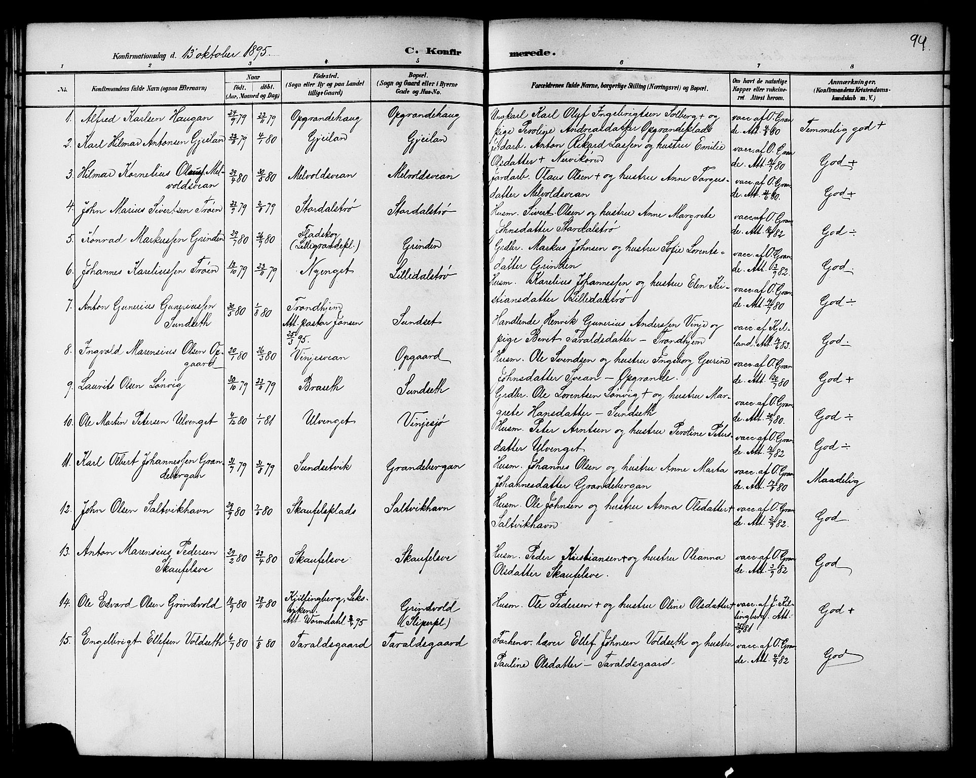 Ministerialprotokoller, klokkerbøker og fødselsregistre - Nord-Trøndelag, AV/SAT-A-1458/733/L0327: Parish register (copy) no. 733C02, 1888-1918, p. 94