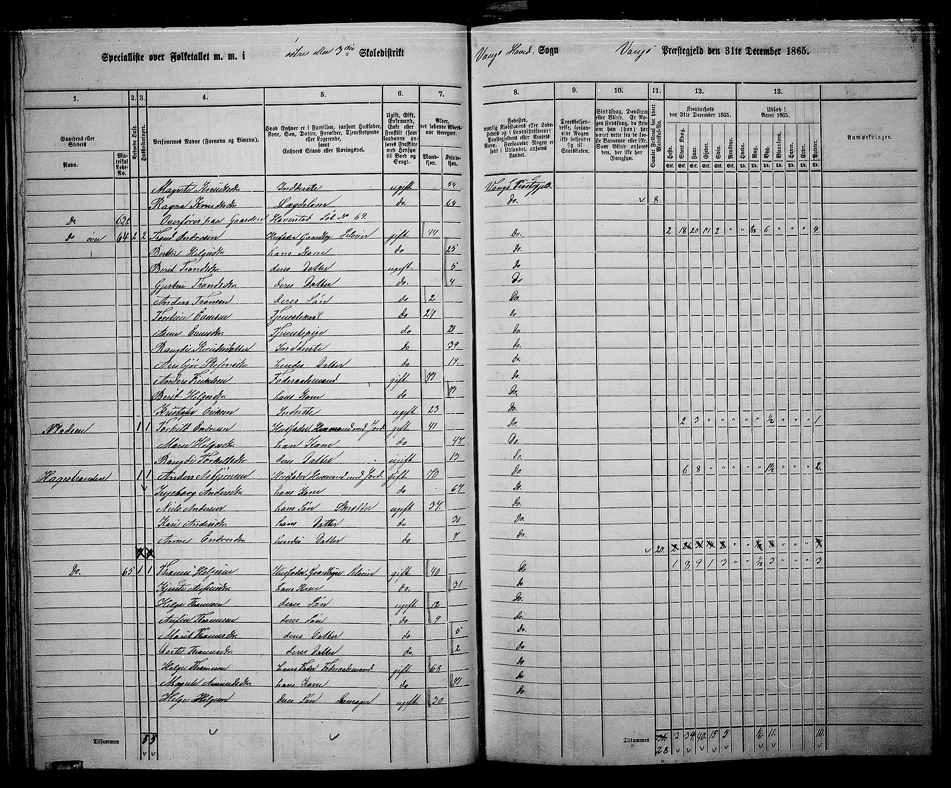 RA, 1865 census for Vang, 1865, p. 51