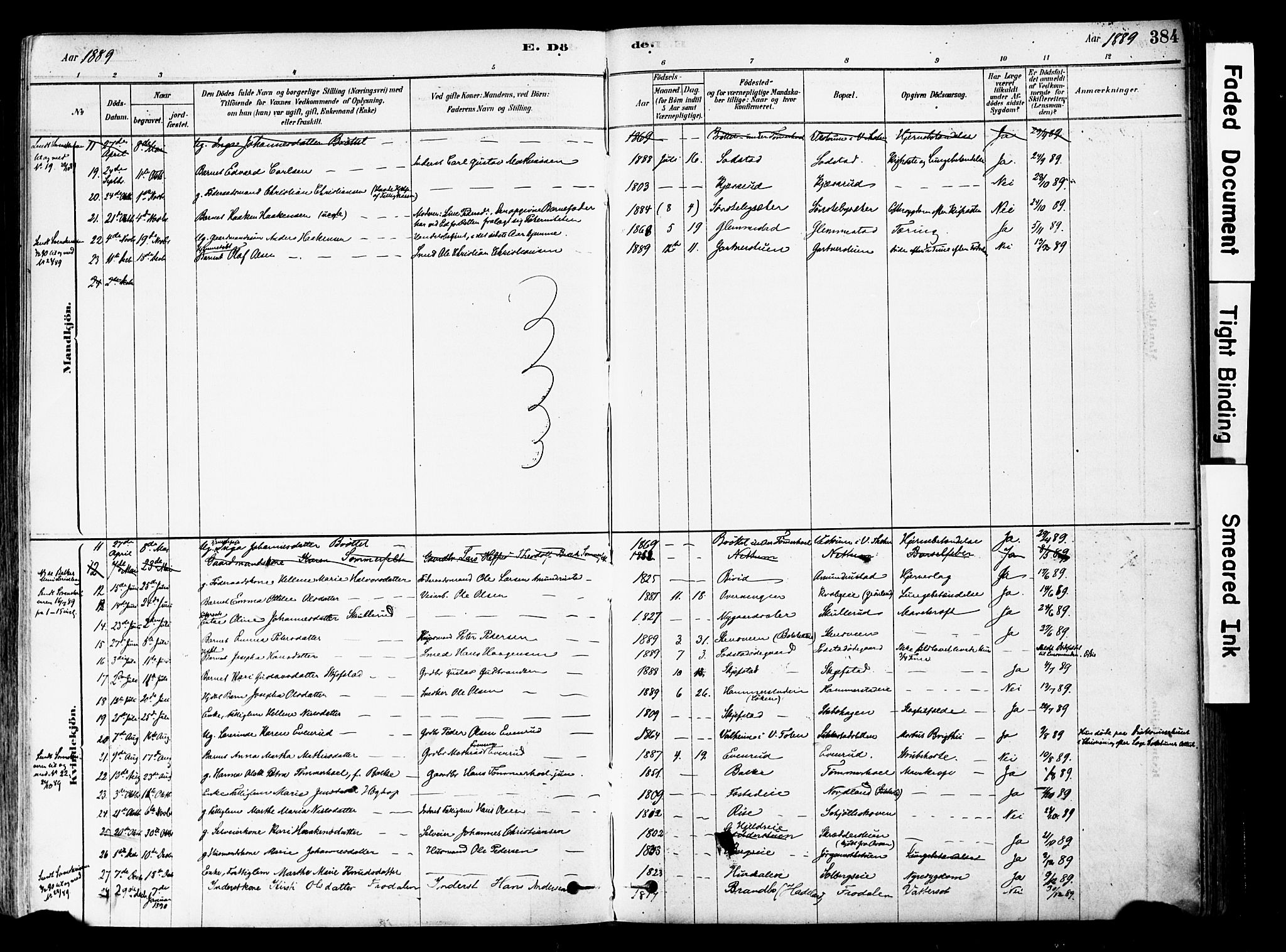 Østre Toten prestekontor, SAH/PREST-104/H/Ha/Haa/L0006: Parish register (official) no. 6 /1, 1878-1896, p. 384