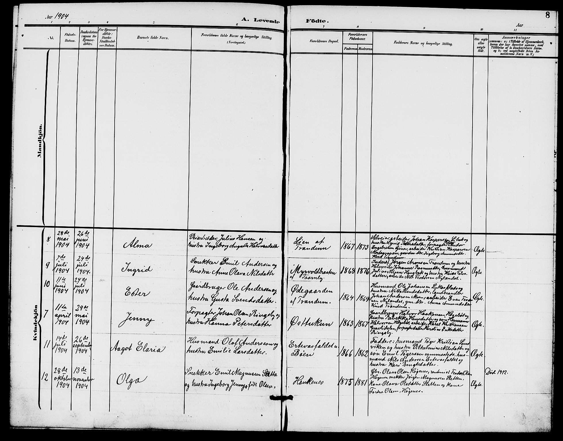 Rødenes prestekontor Kirkebøker, AV/SAO-A-2005/G/Gb/L0001: Parish register (copy) no. II 1, 1901-1910, p. 8