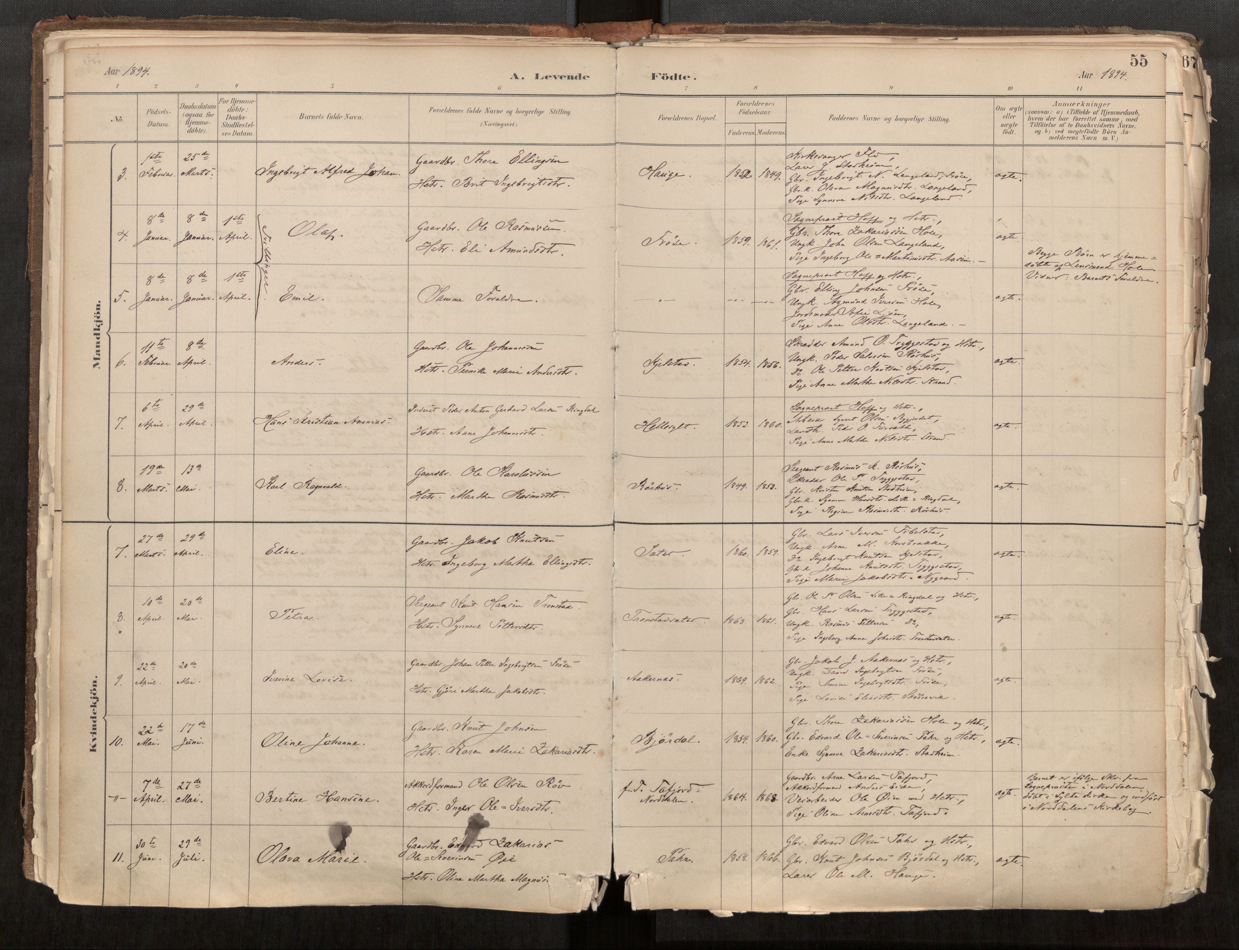 Sunnylven sokneprestkontor, AV/SAT-A-1007/H/Ha/Haa/L0002: Parish register (official) no. 517A09, 1882-1939, p. 55