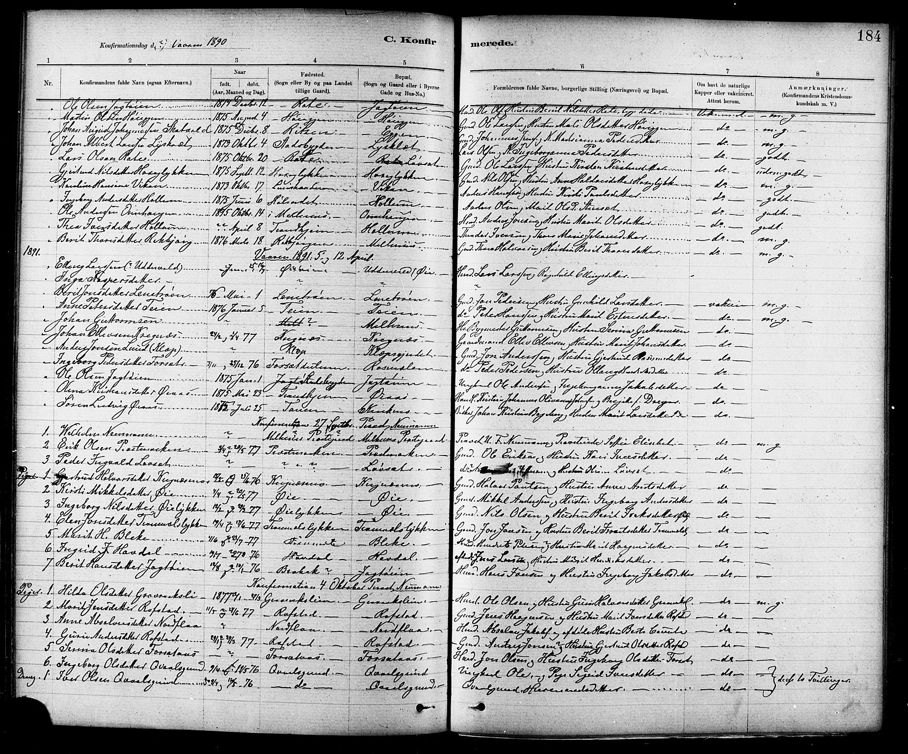 Ministerialprotokoller, klokkerbøker og fødselsregistre - Sør-Trøndelag, SAT/A-1456/691/L1094: Parish register (copy) no. 691C05, 1879-1911, p. 184