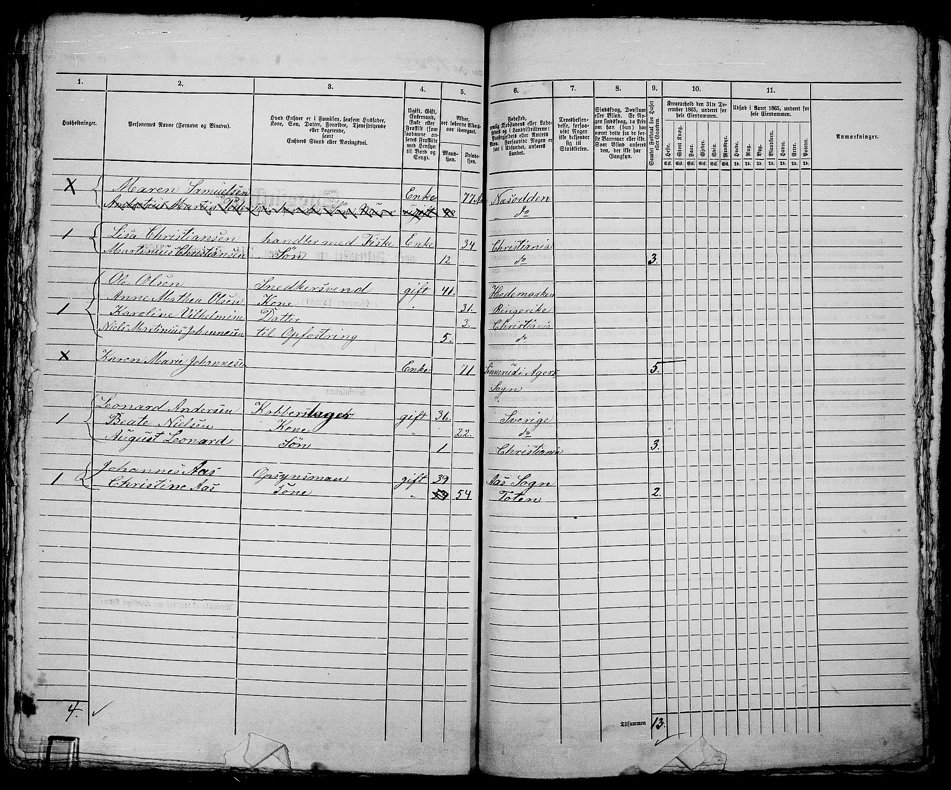 RA, 1865 census for Kristiania, 1865, p. 3067