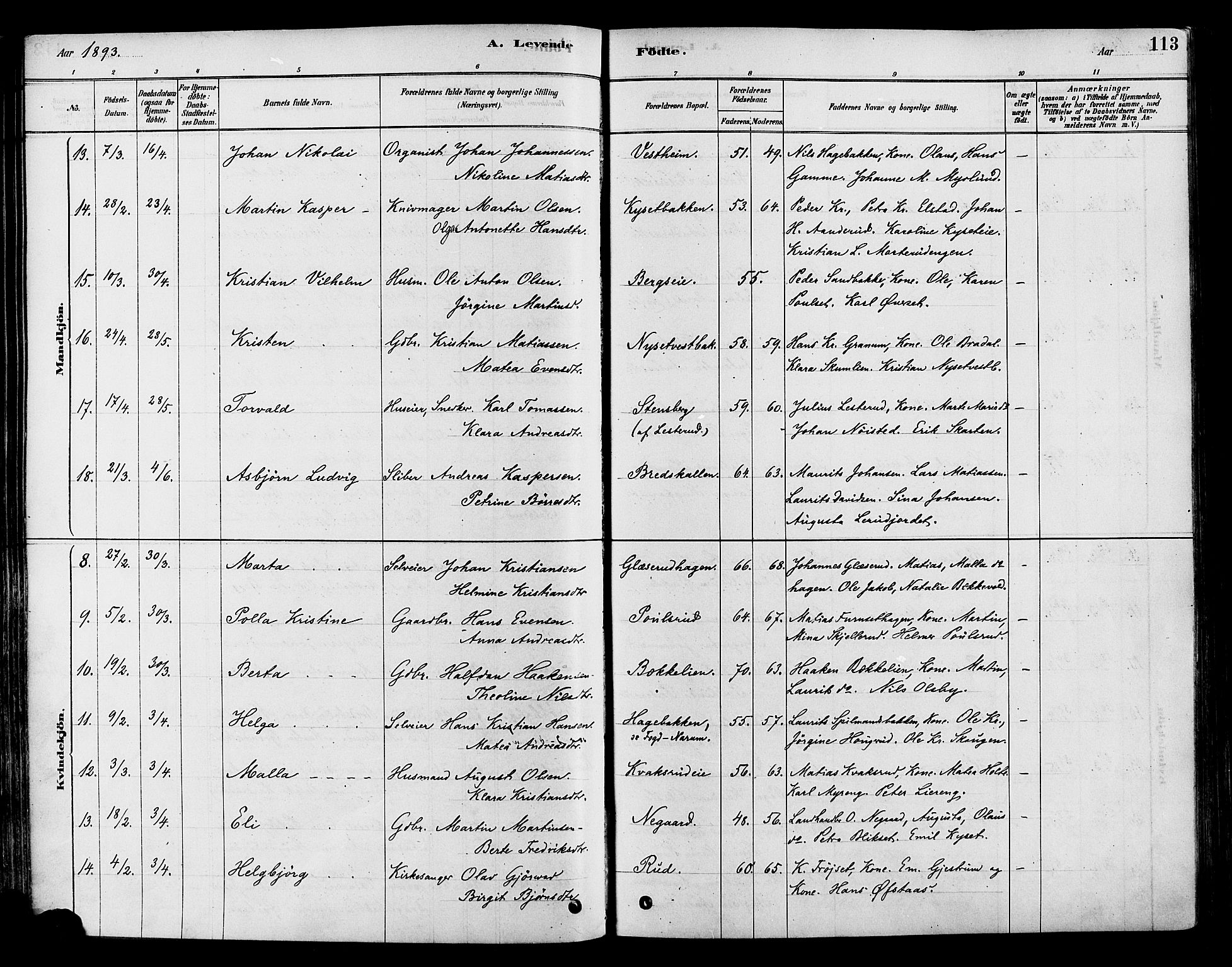 Vestre Toten prestekontor, AV/SAH-PREST-108/H/Ha/Haa/L0009: Parish register (official) no. 9, 1878-1894, p. 113