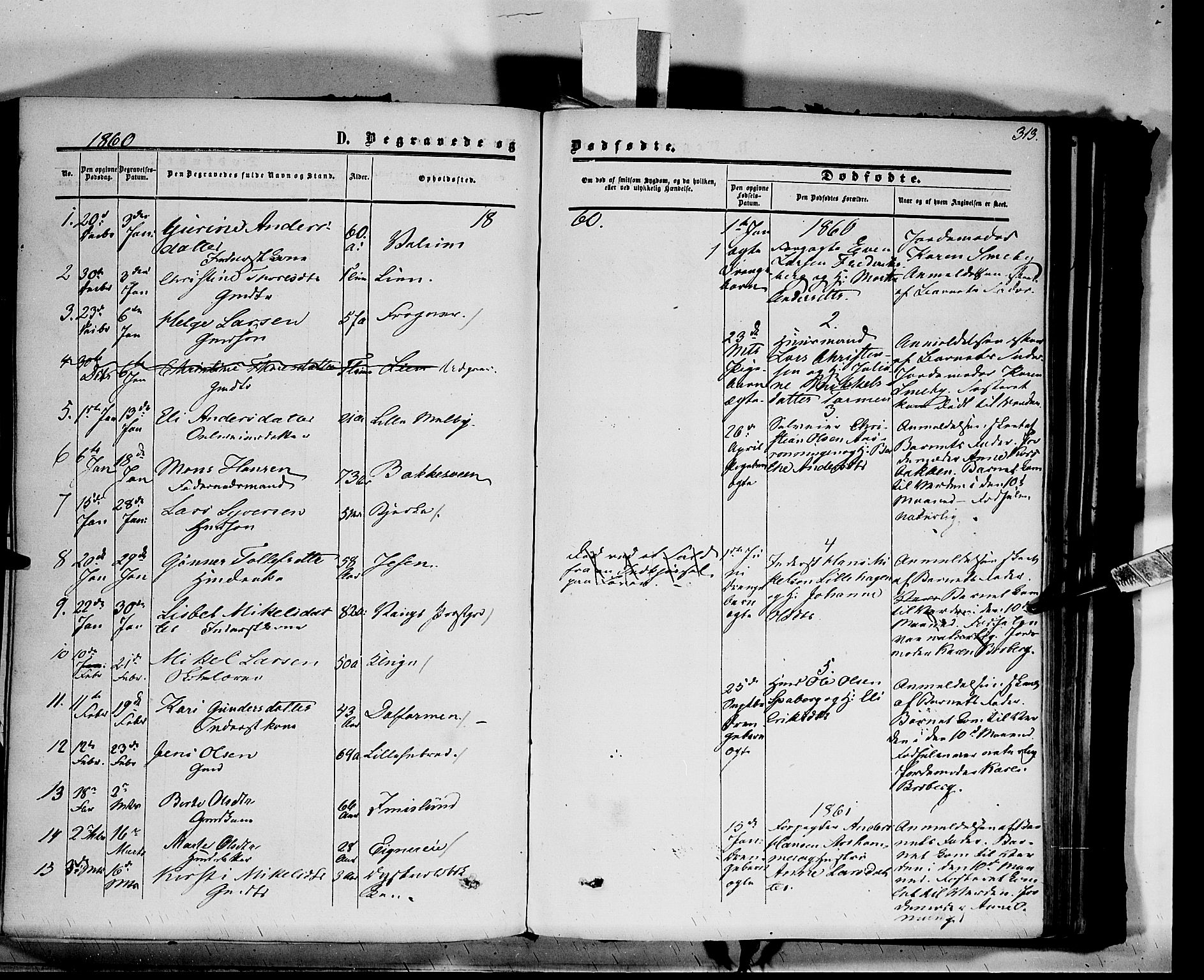 Vang prestekontor, Hedmark, SAH/PREST-008/H/Ha/Haa/L0012: Parish register (official) no. 12, 1855-1870, p. 313