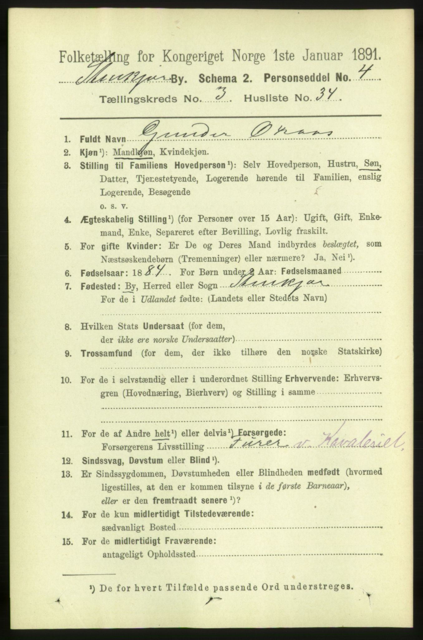 RA, 1891 census for 1702 Steinkjer, 1891, p. 1142