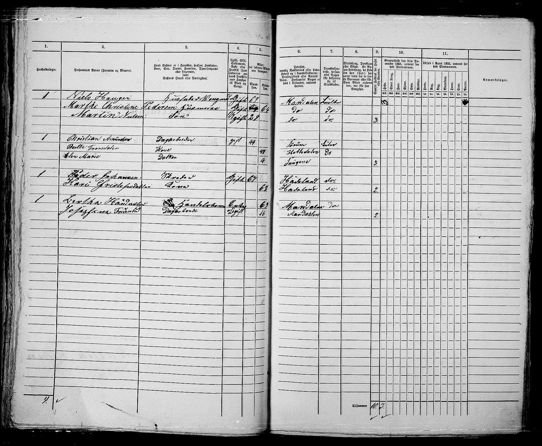 RA, 1865 census for Kristiania, 1865, p. 4996