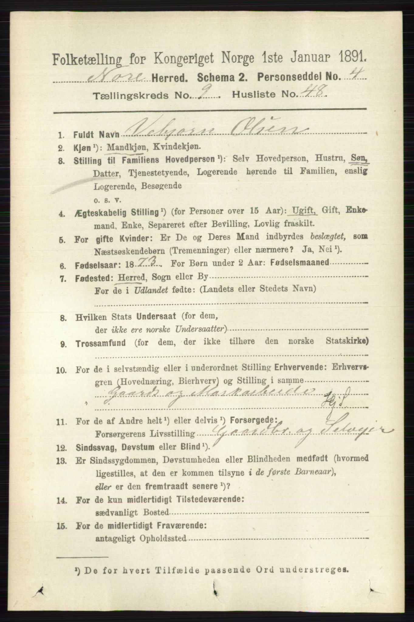 RA, 1891 census for 0633 Nore, 1891, p. 3492